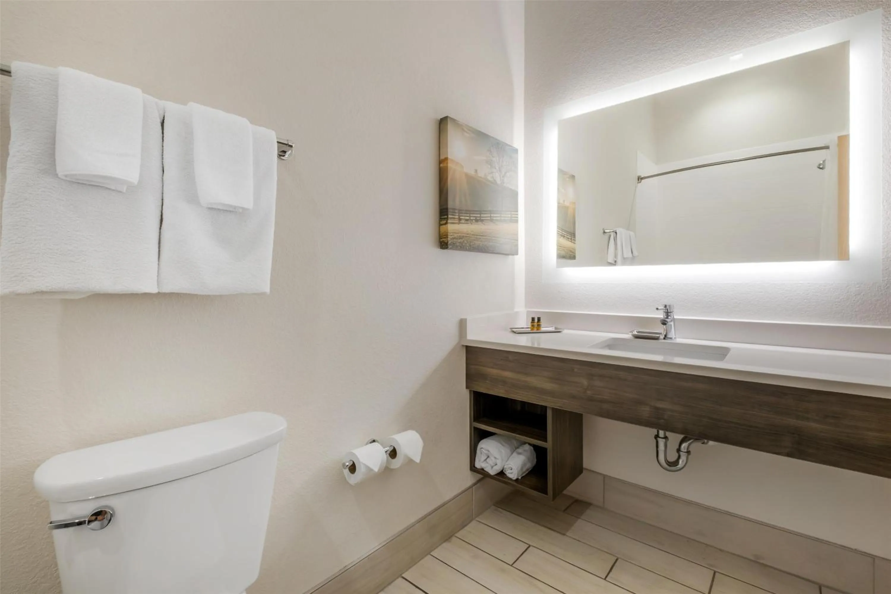 Bathroom in Best Western Plus Elizabethtown Inn & Suites