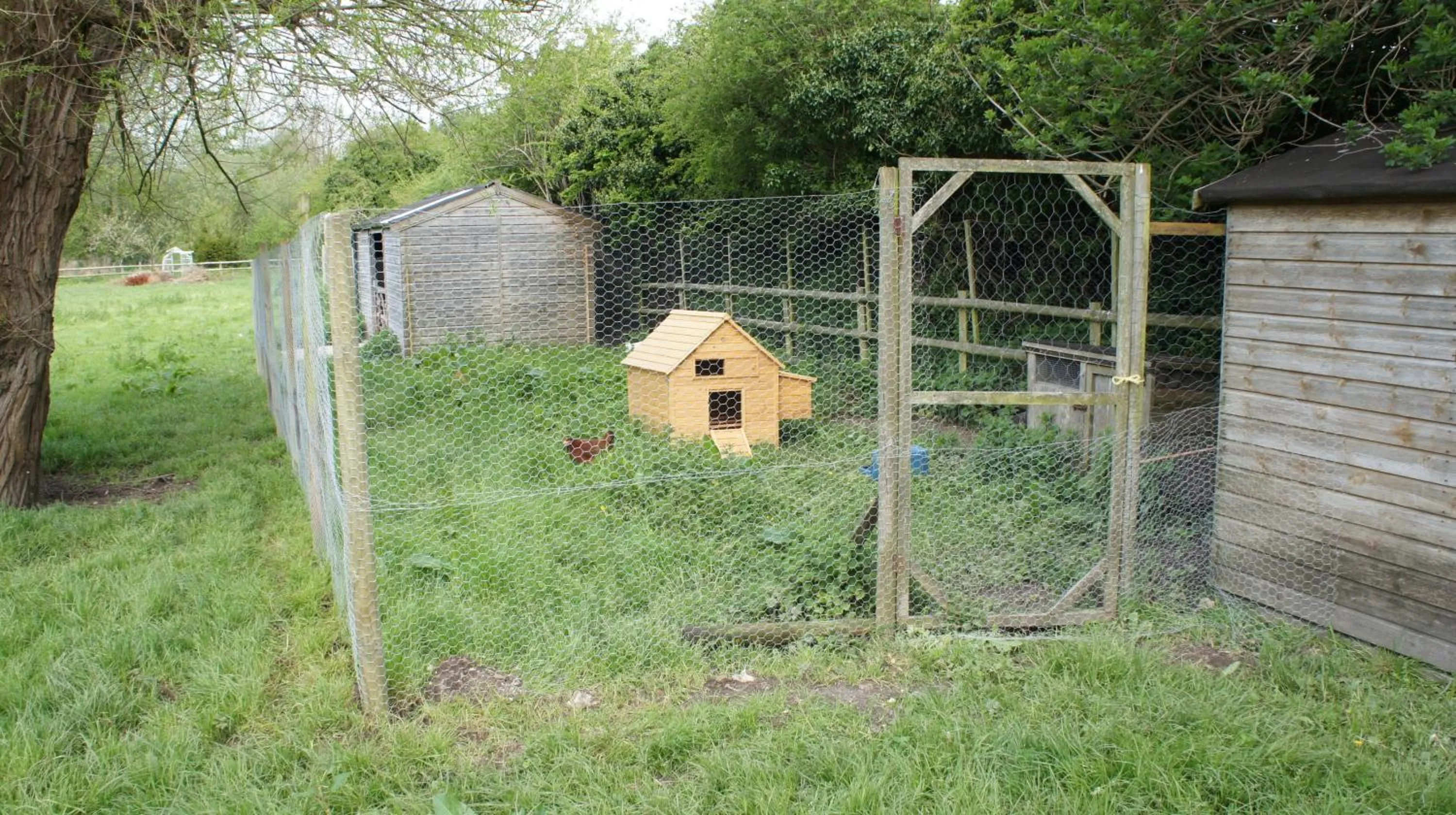 Animals in The Old Mill Bed and Breakfast