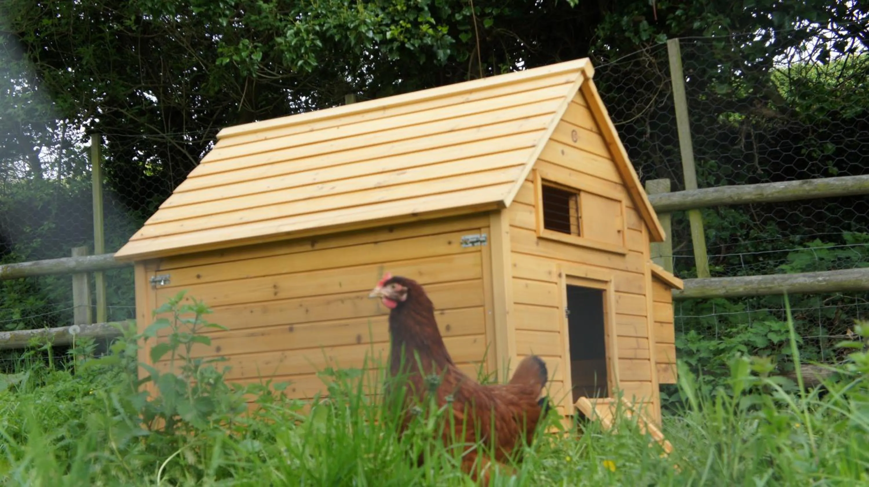 Animals in The Old Mill Bed and Breakfast