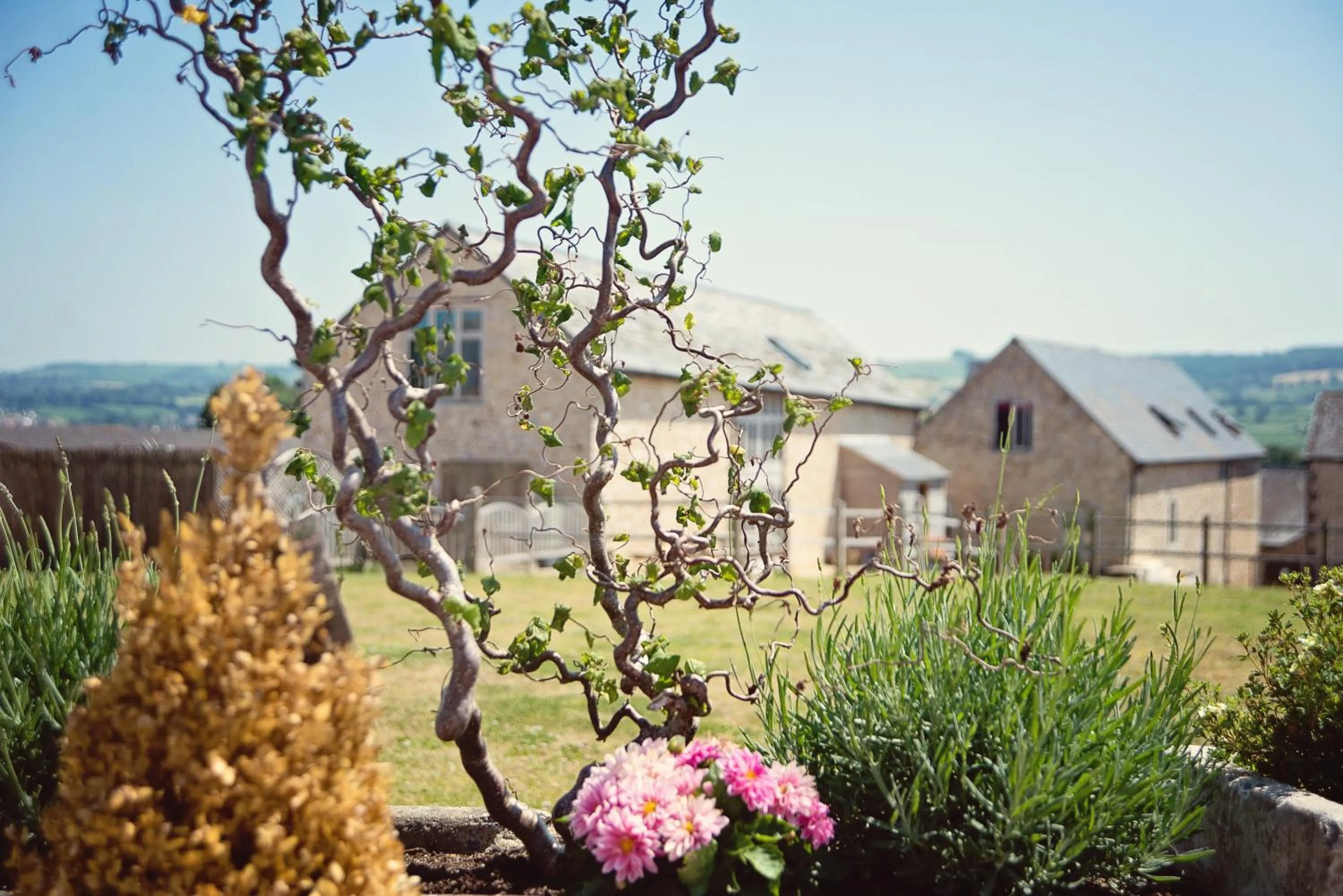 Garden in Hills Farm Stays