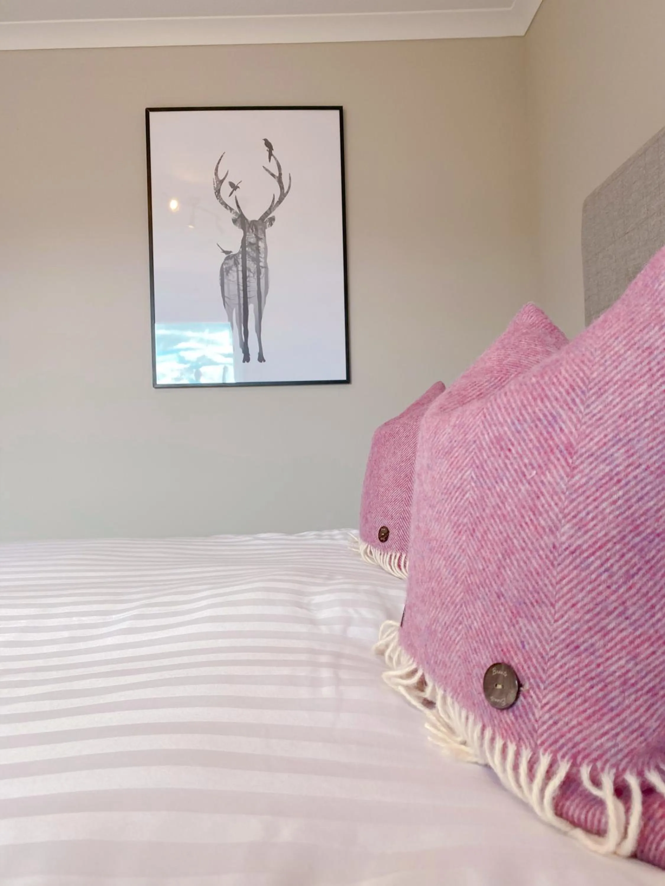 Bed in Cairngorm Guest House