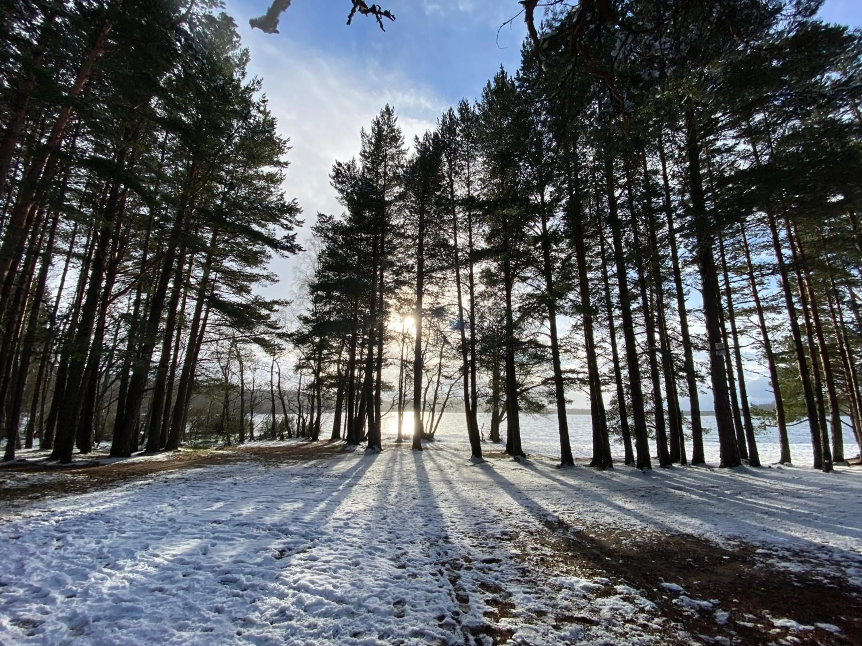 Natural landscape in Cairngorm Guest House