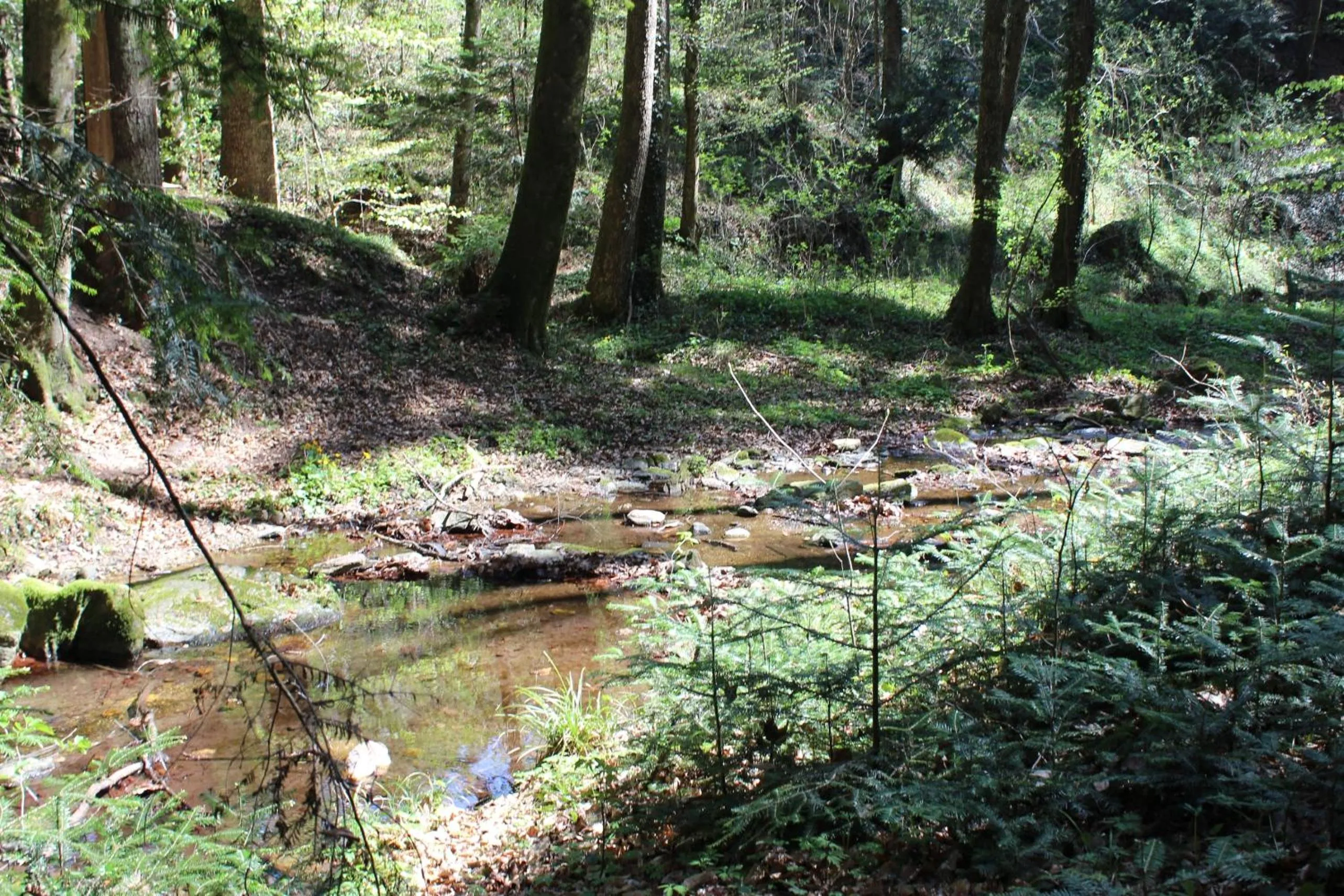 Hiking in Tiefala's Eck