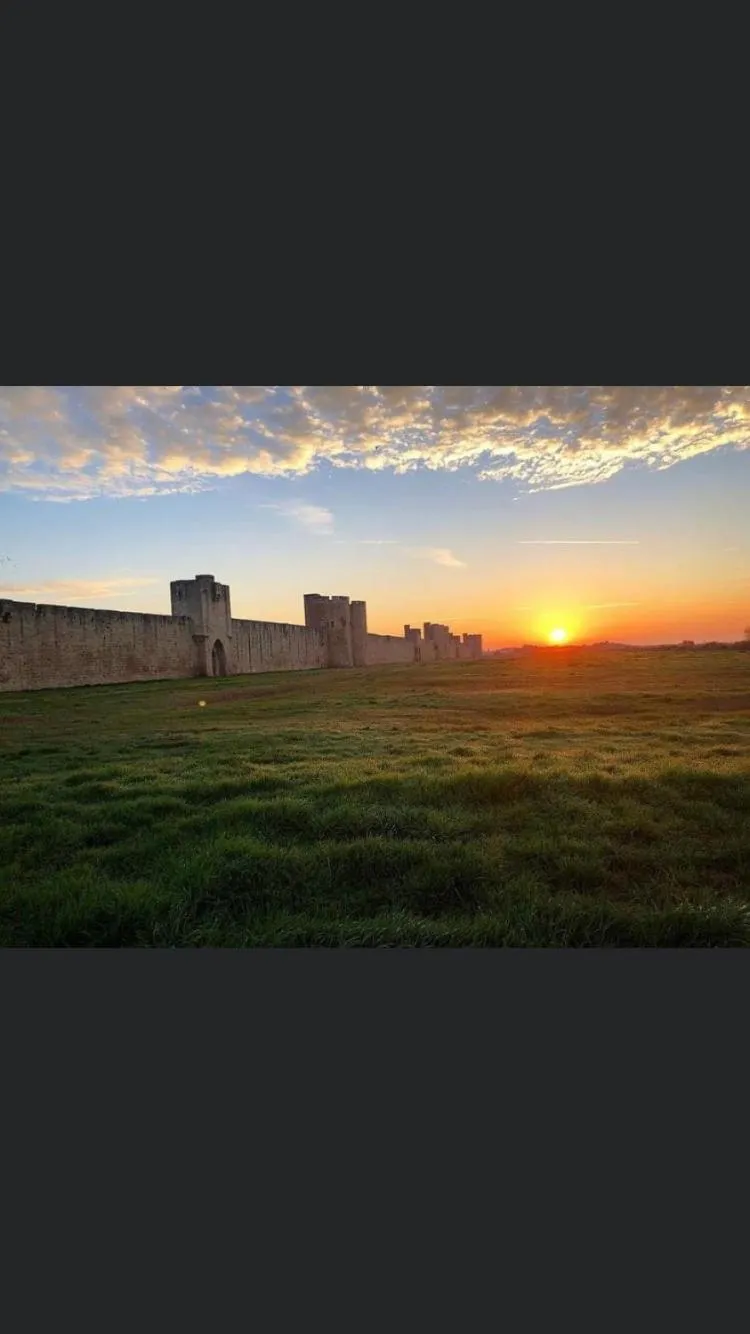 Ô 36 Rempart Sud B&B