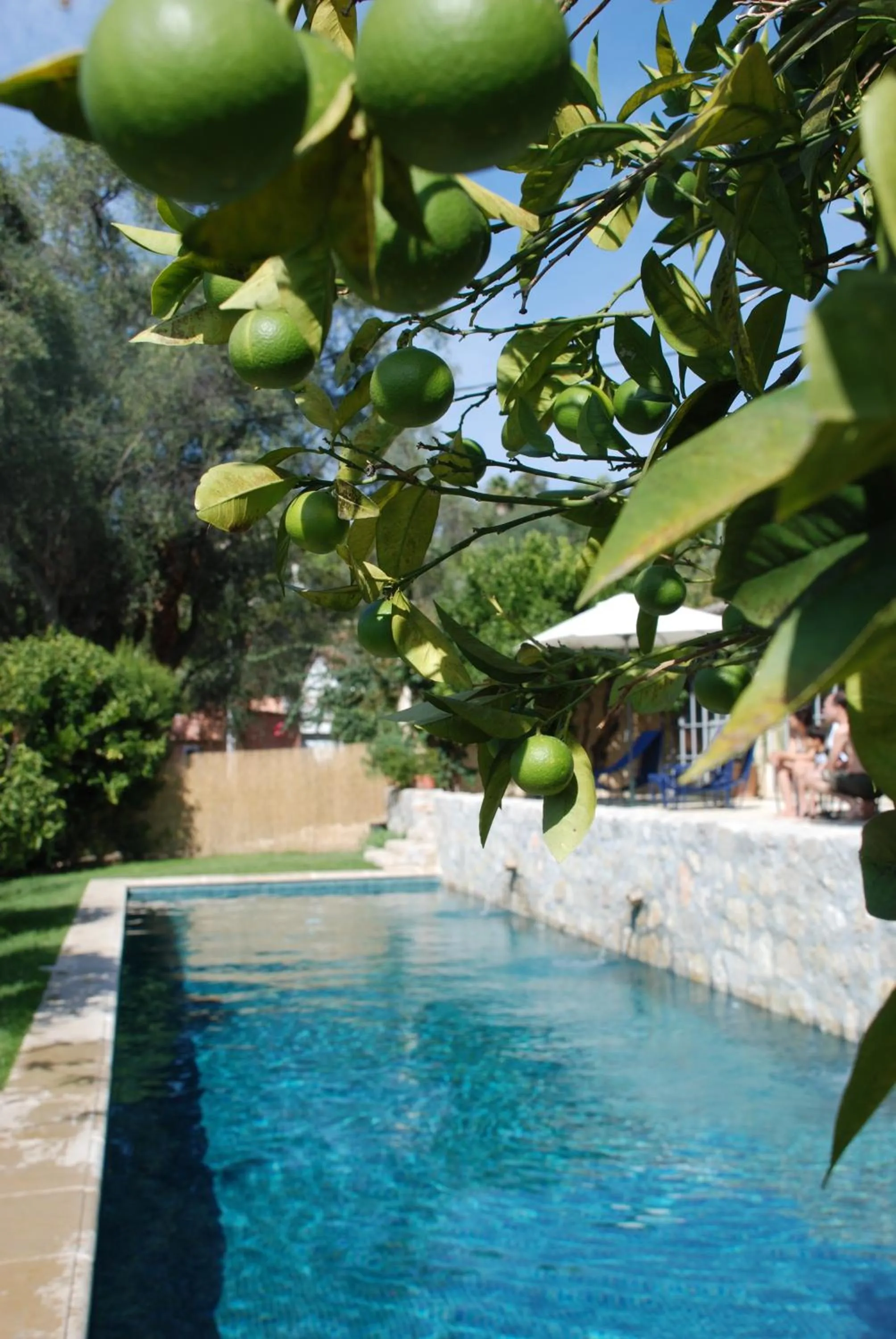 Swimming pool in Les Orangers