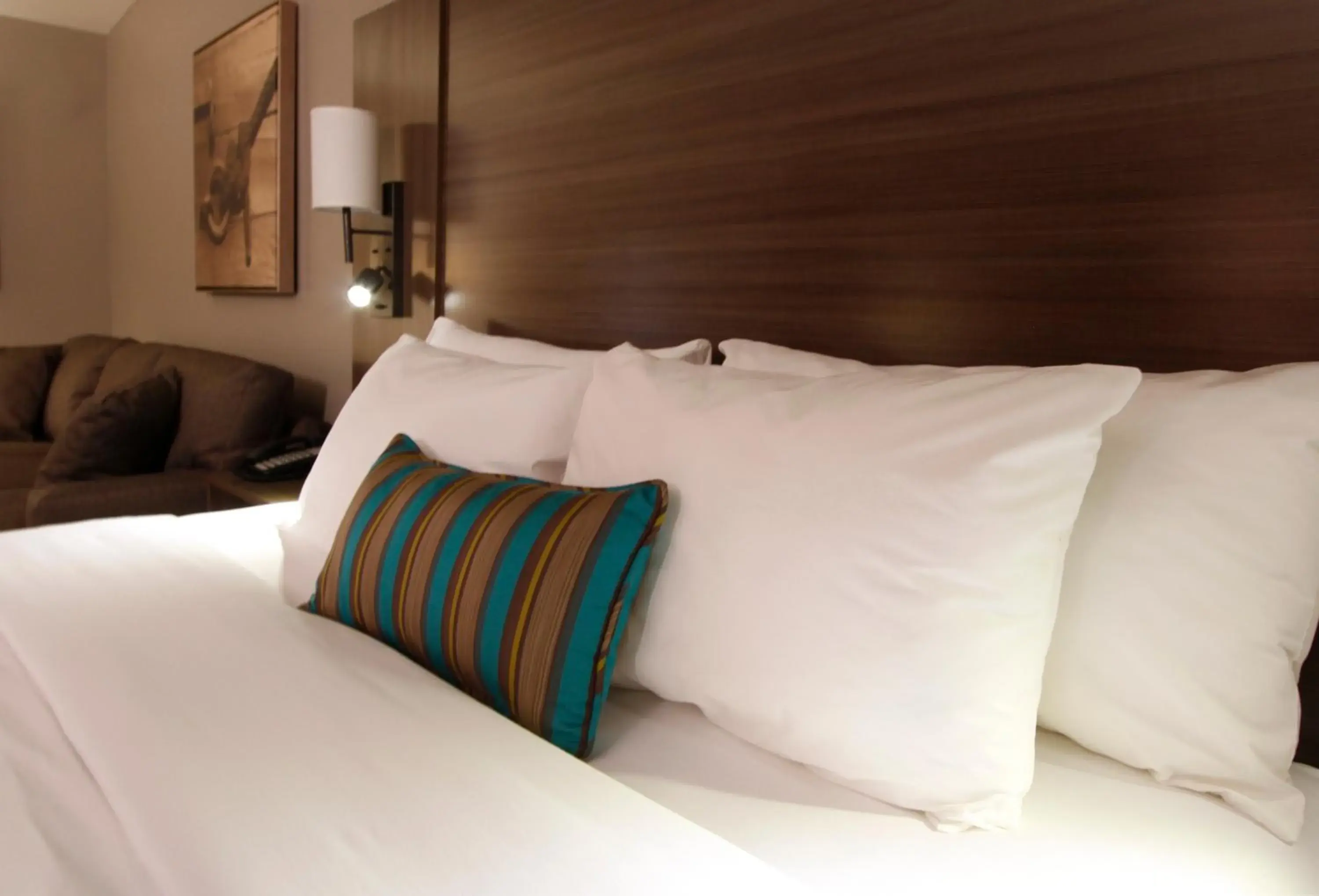 Bed in Executive Inn & Suites Oakland Bed in Executive Inn & Suites Oakland