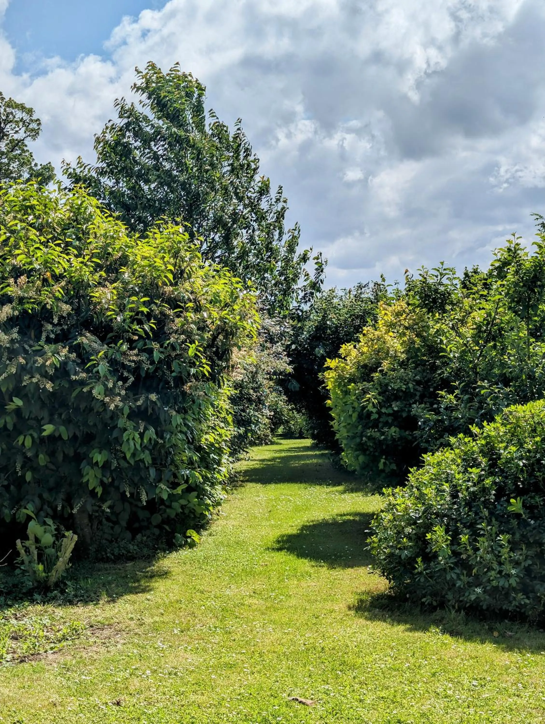 Garden in Le Relais du Beffroi & SPA