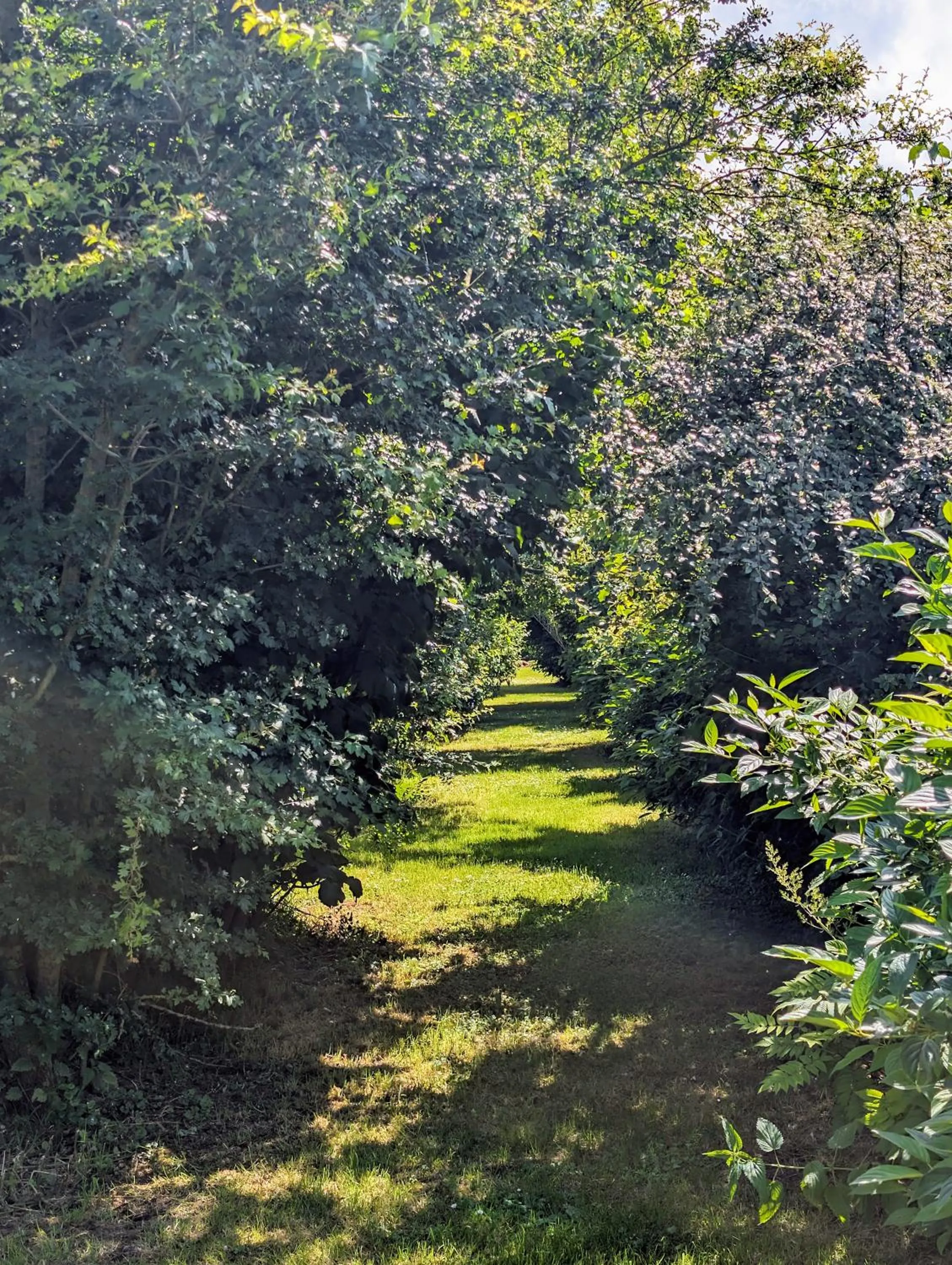 Garden in Le Relais du Beffroi & SPA