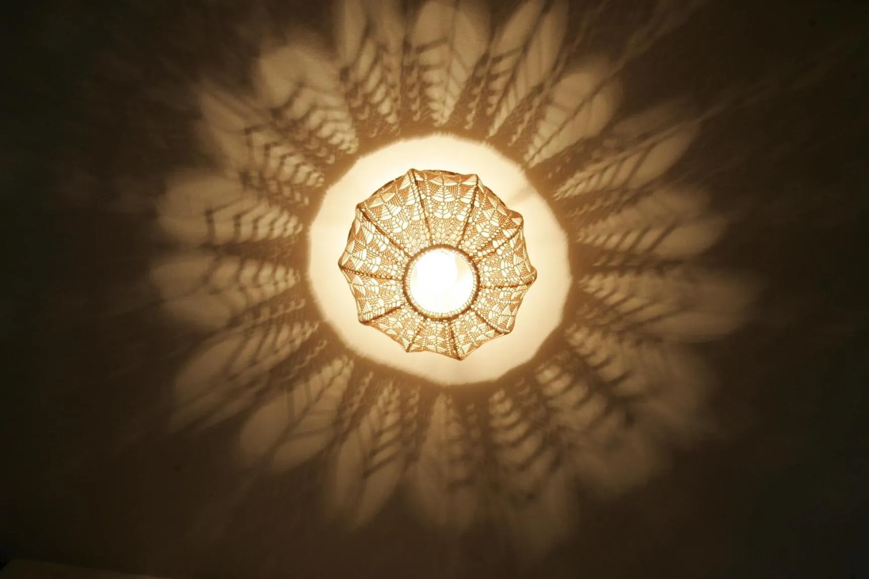 Decorative detail in Chambres d'hôtes Haut de Belleville