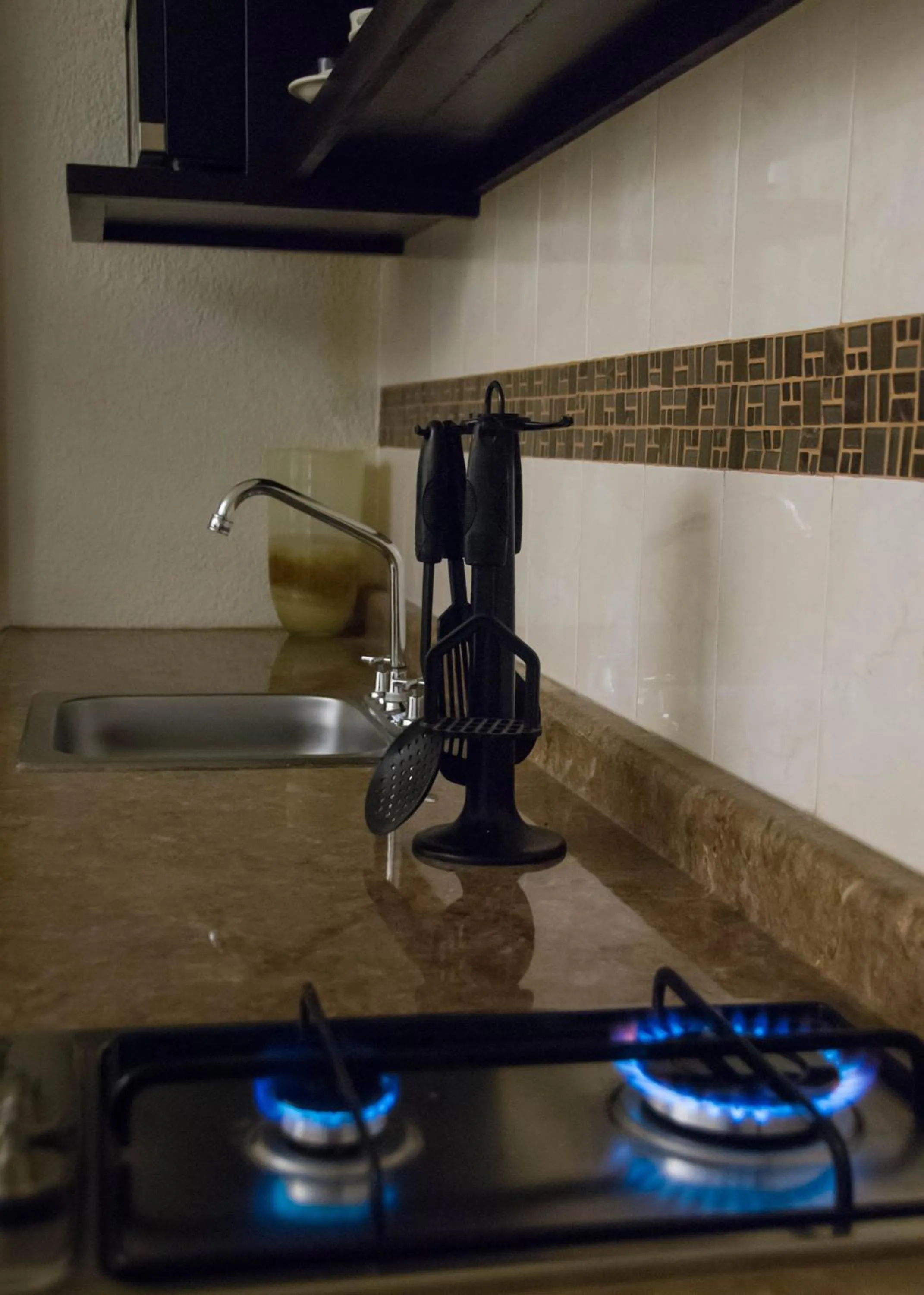 Kitchen or kitchenette in Hotel Rincon Real Suites