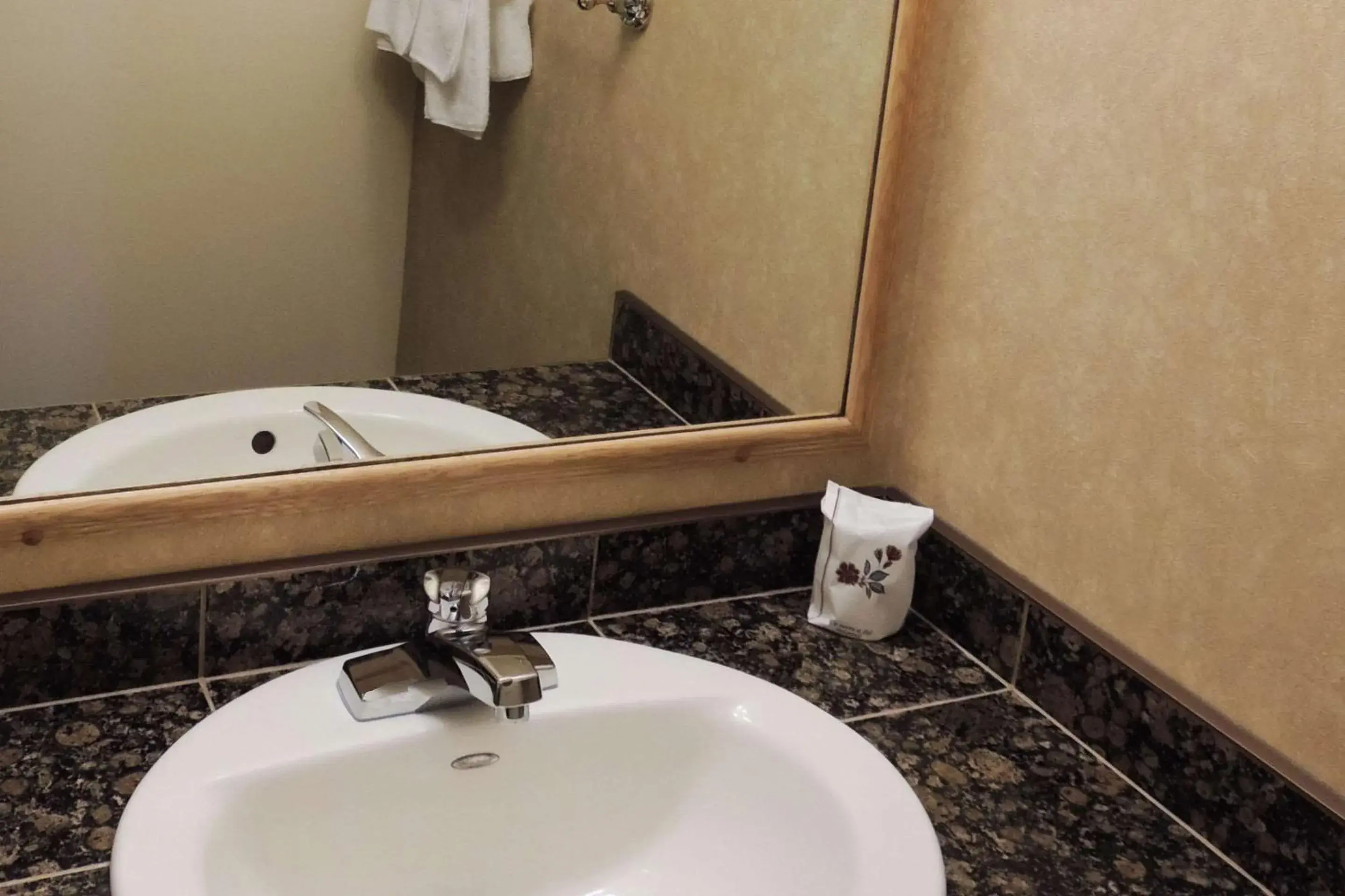 Bedroom in Rodeway Inn Bedroom in Rodeway Inn