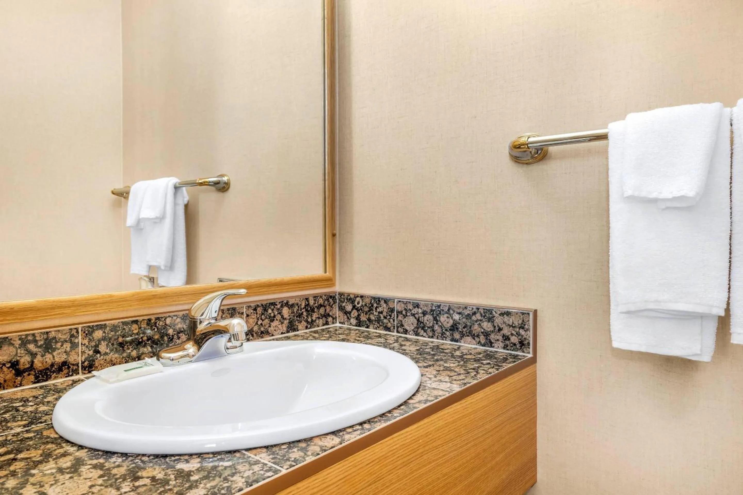 Bedroom in Rodeway Inn