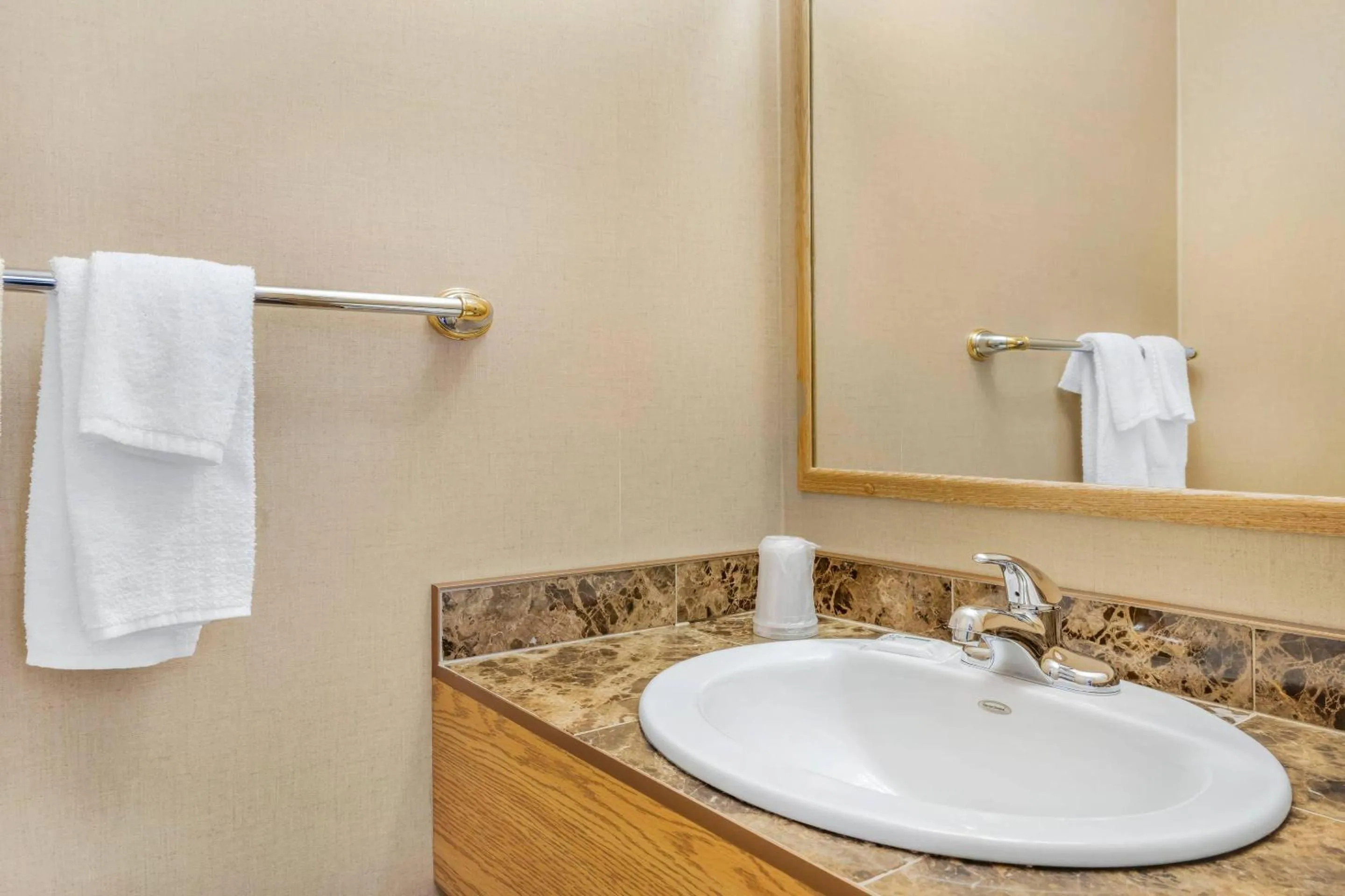 Bedroom in Rodeway Inn