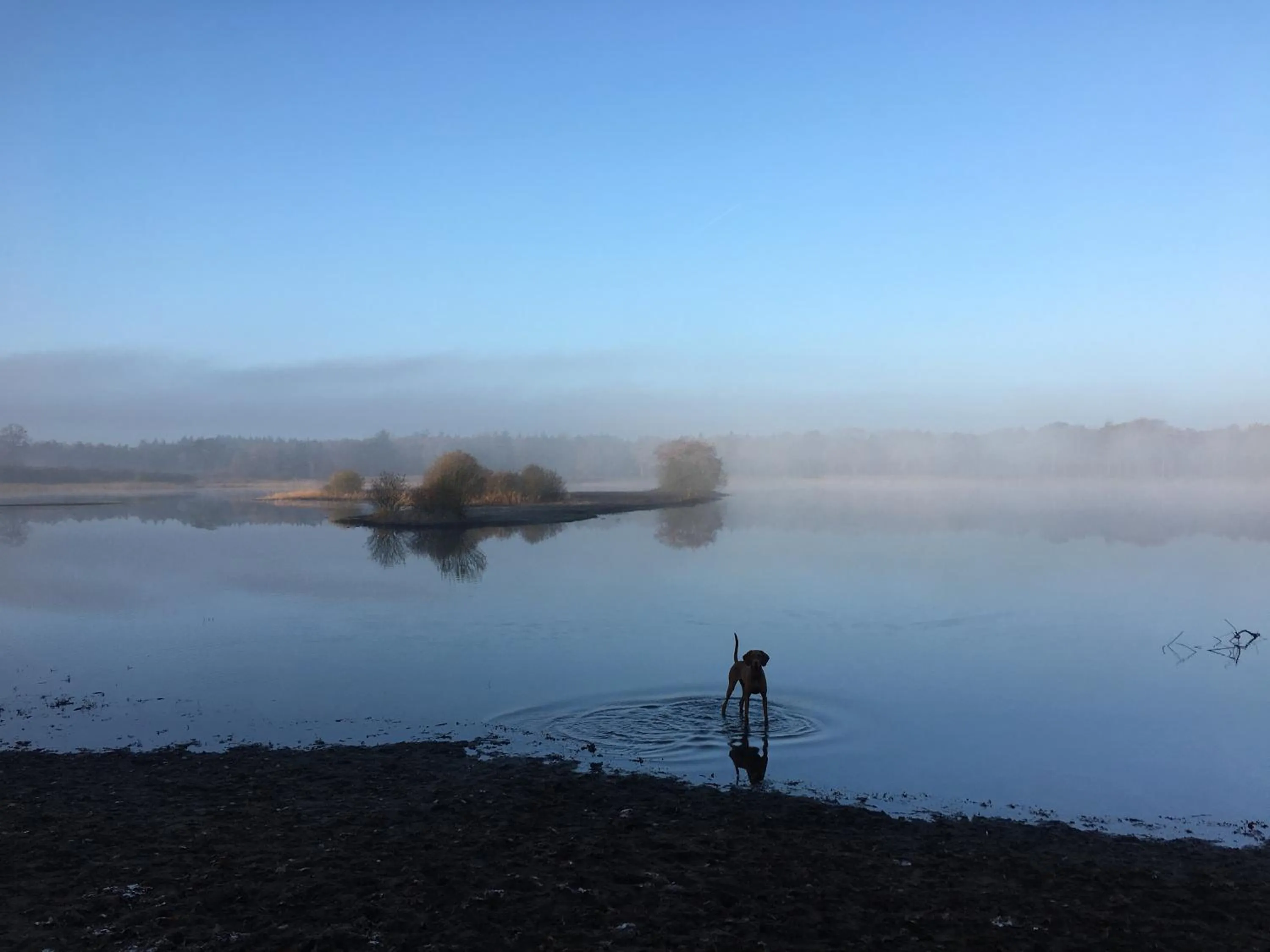 Nearby landmark in Beerze Brouwerij Hotel