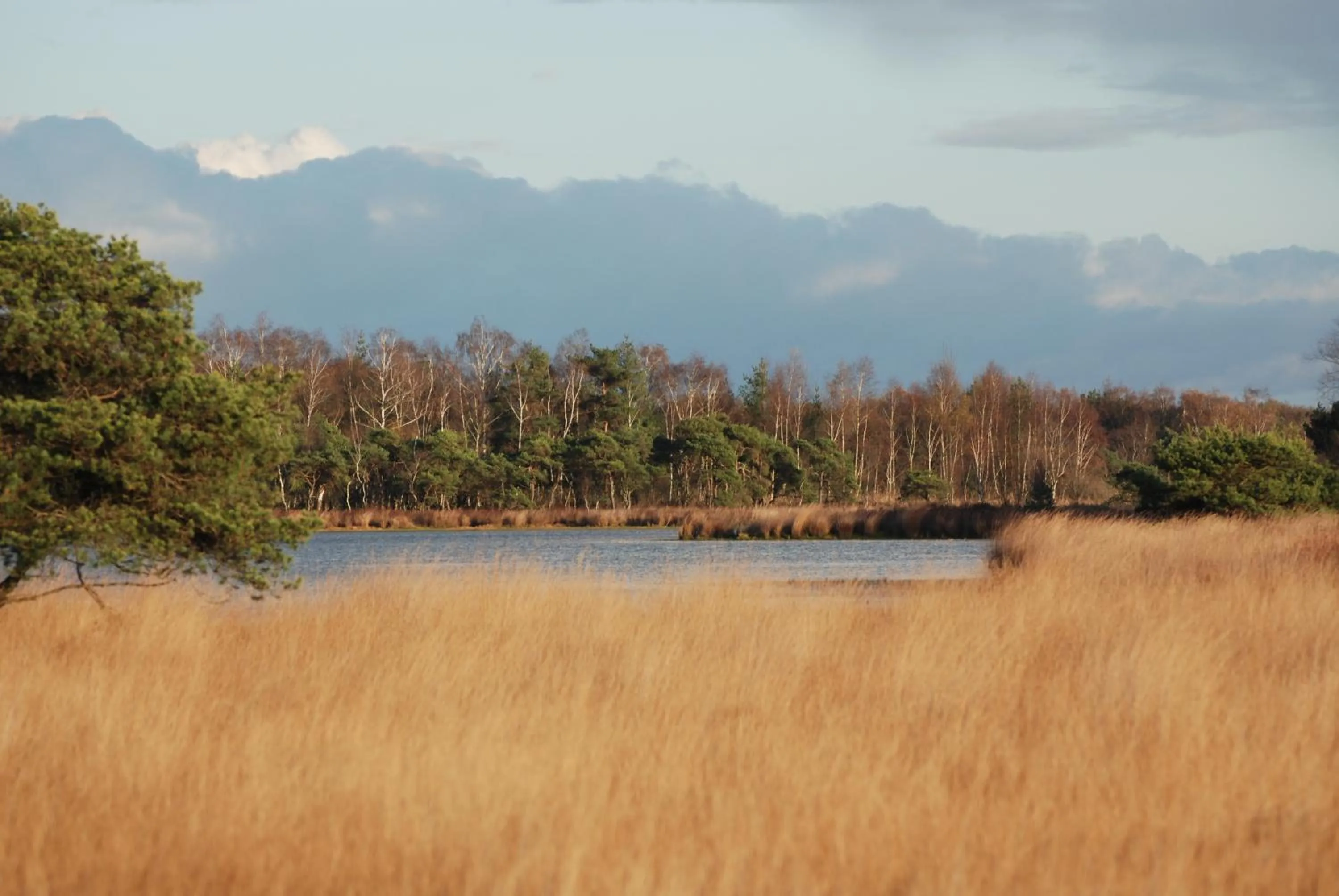 Natural landscape in Beerze Brouwerij Hotel