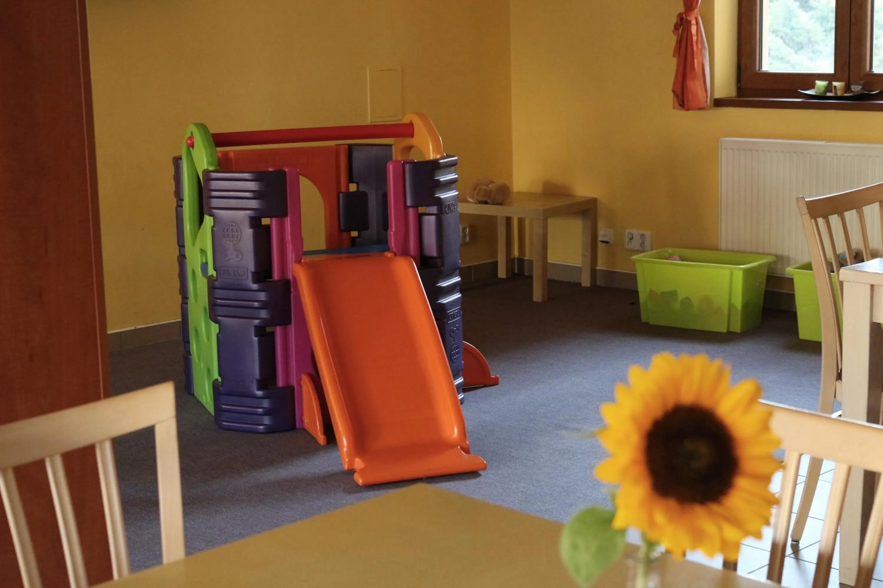 Restaurant/places to eat in Hotel Petra