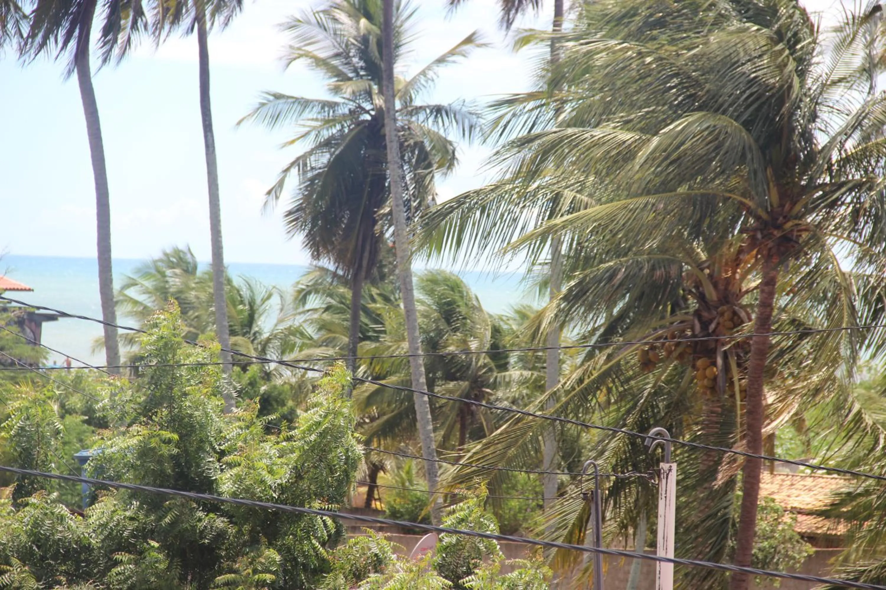 Natural landscape in Flat's Portal do Sol-SMG