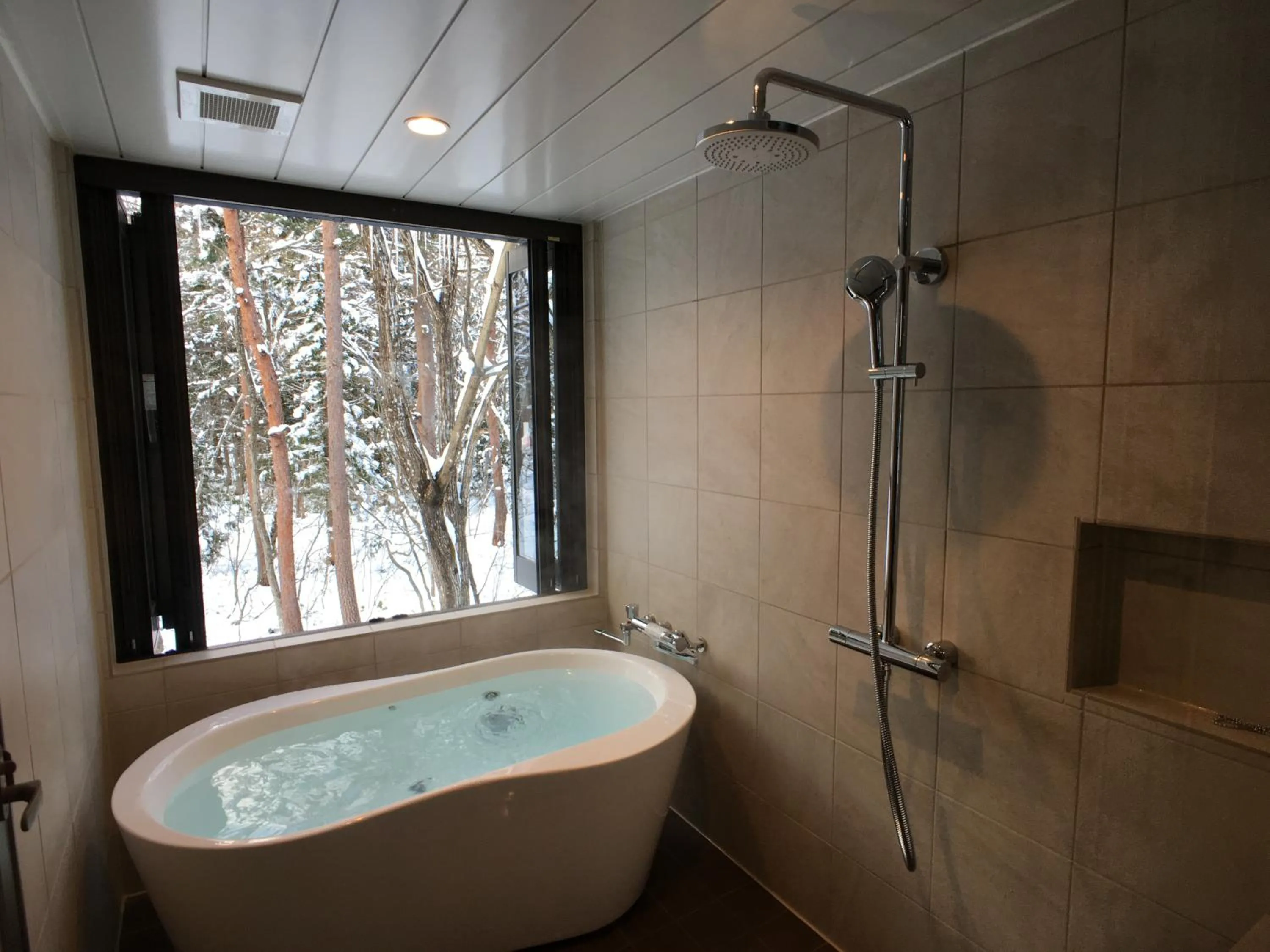 Shower in Pension Tomato