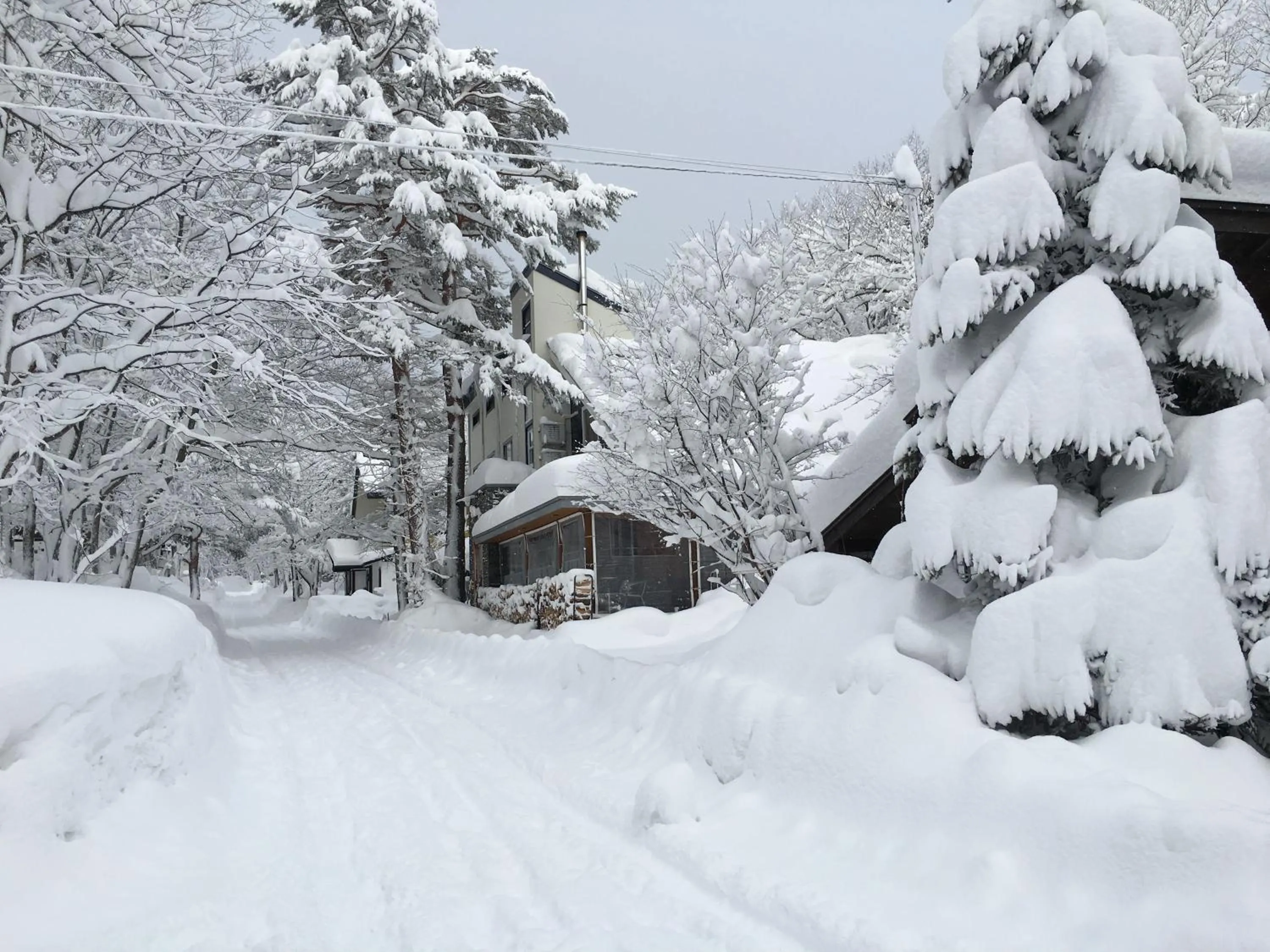 Winter in Pension Tomato