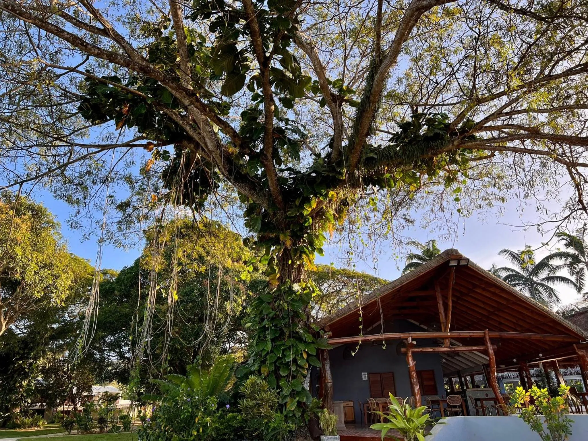 Property building in MG Cocomo Resort Vanuatu