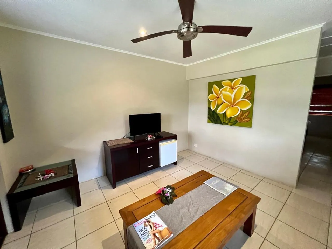 TV and multimedia in MG Cocomo Resort Vanuatu