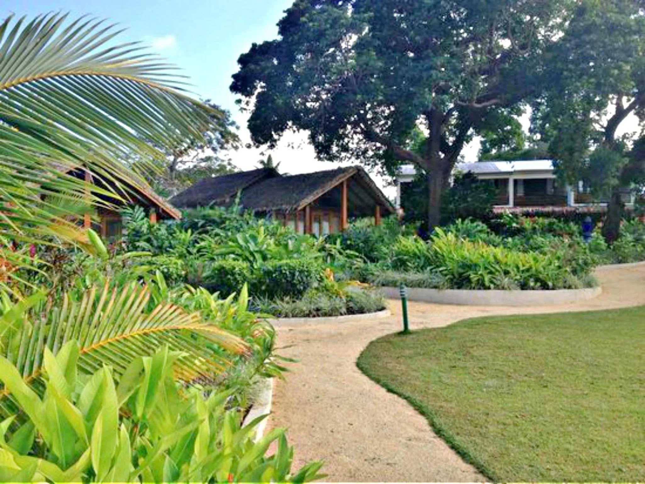 Garden view in MG Cocomo Resort Vanuatu