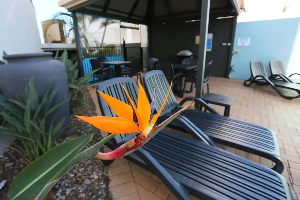 BBQ facilities in Ocean Views - Top floor