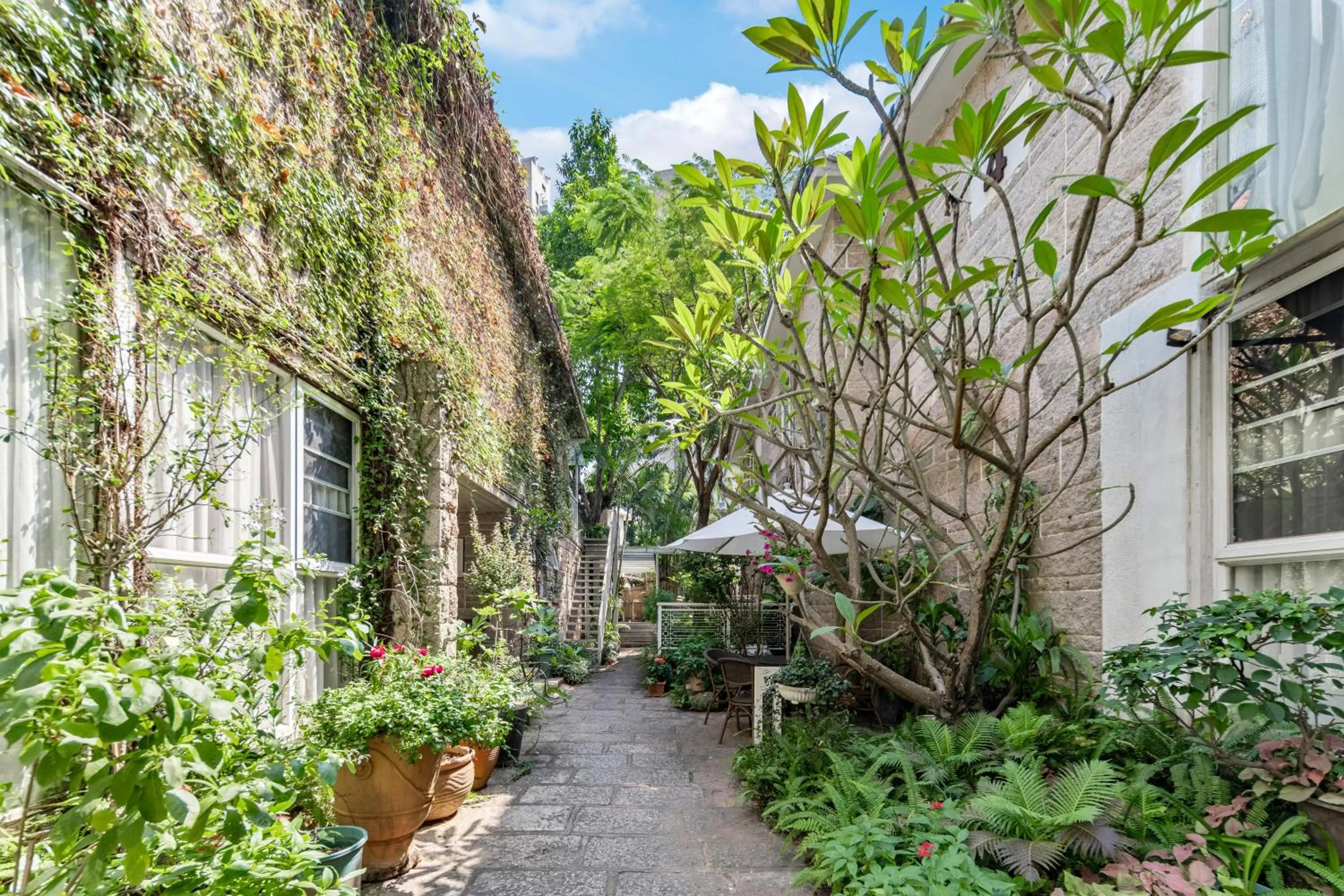 Day in 6號花園別墅酒店 Shenzhen No'6 Garden Villa --French Window with garden view,Close to Sea World &Shekou Ferry Port &K11 Ecoast &Subway Nearby ,Offer Western food and coffee &English speaking with tour services