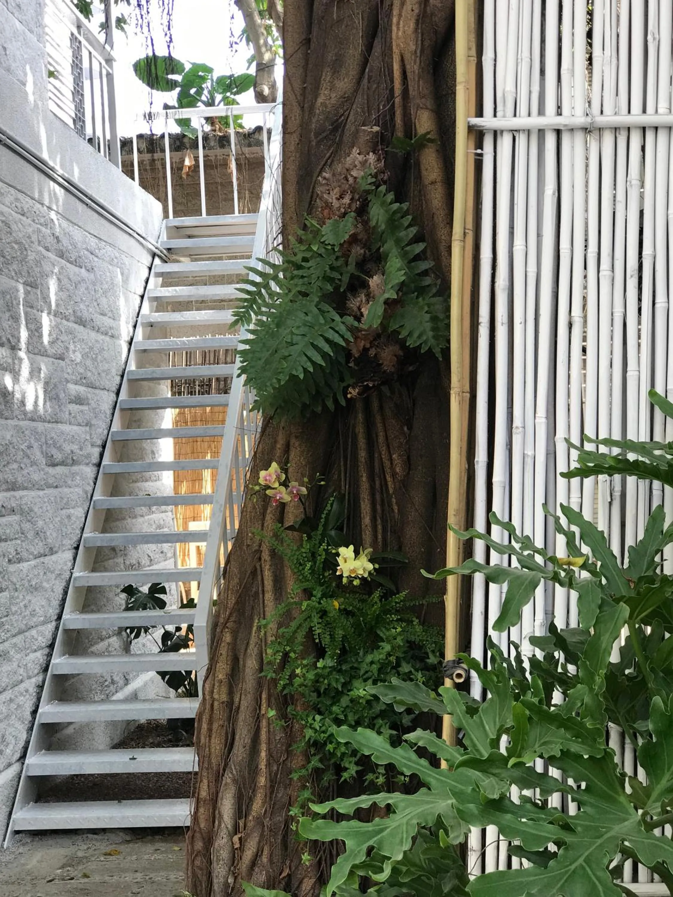 Garden in 6號花園別墅酒店 Shenzhen No'6 Garden Villa --French Window with garden view,Close to Sea World &Shekou Ferry Port &K11 Ecoast &Subway Nearby ,Offer Western food and coffee &English speaking with tour services