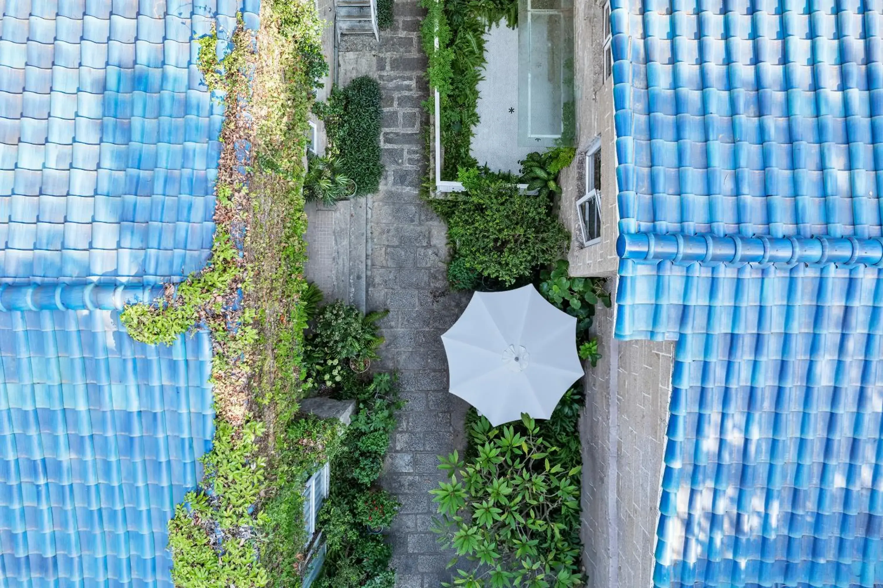 Property building in 6號花園別墅酒店 Shenzhen No'6 Garden Villa --French Window with garden view,Close to Sea World &Shekou Ferry Port &K11 Ecoast &Subway Nearby ,Offer Western food and coffee &English speaking with tour services Property building in 6號花園別墅酒店 Shenzhen No'6 Garden Villa --French Window with garden view,Close to Sea World &Shekou Ferry Port &K11 Ecoast &Subway Nearby ,Offer Western food and coffee &English speaking with tour services