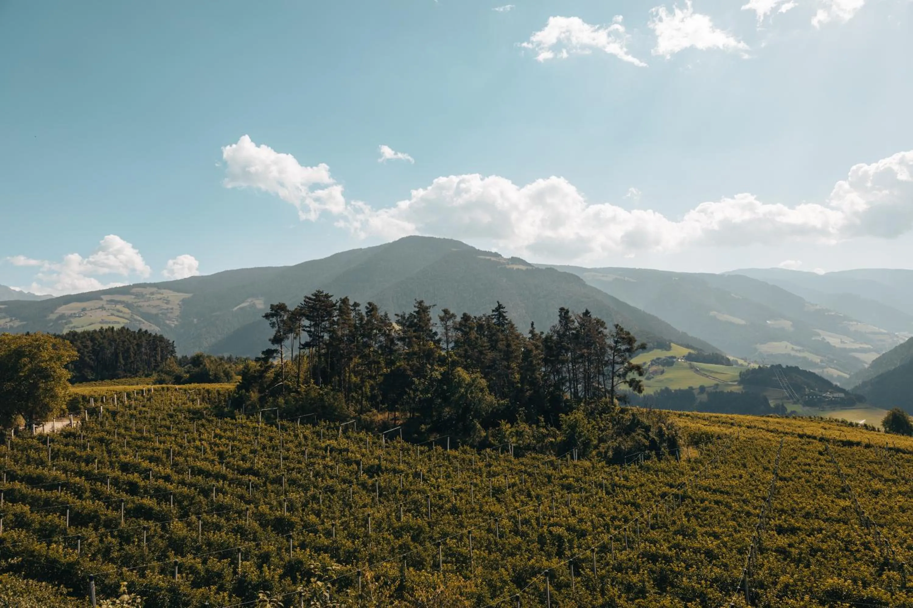 Natural landscape in Das Mühlwald - Quality Time Family Resort