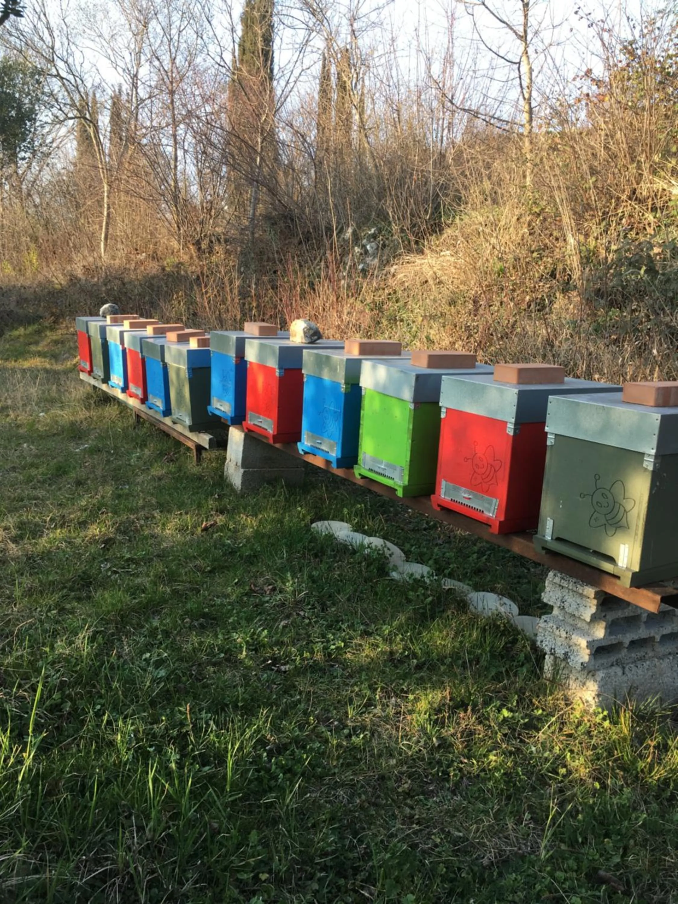 Animals in Agriturismo Casa Rosa