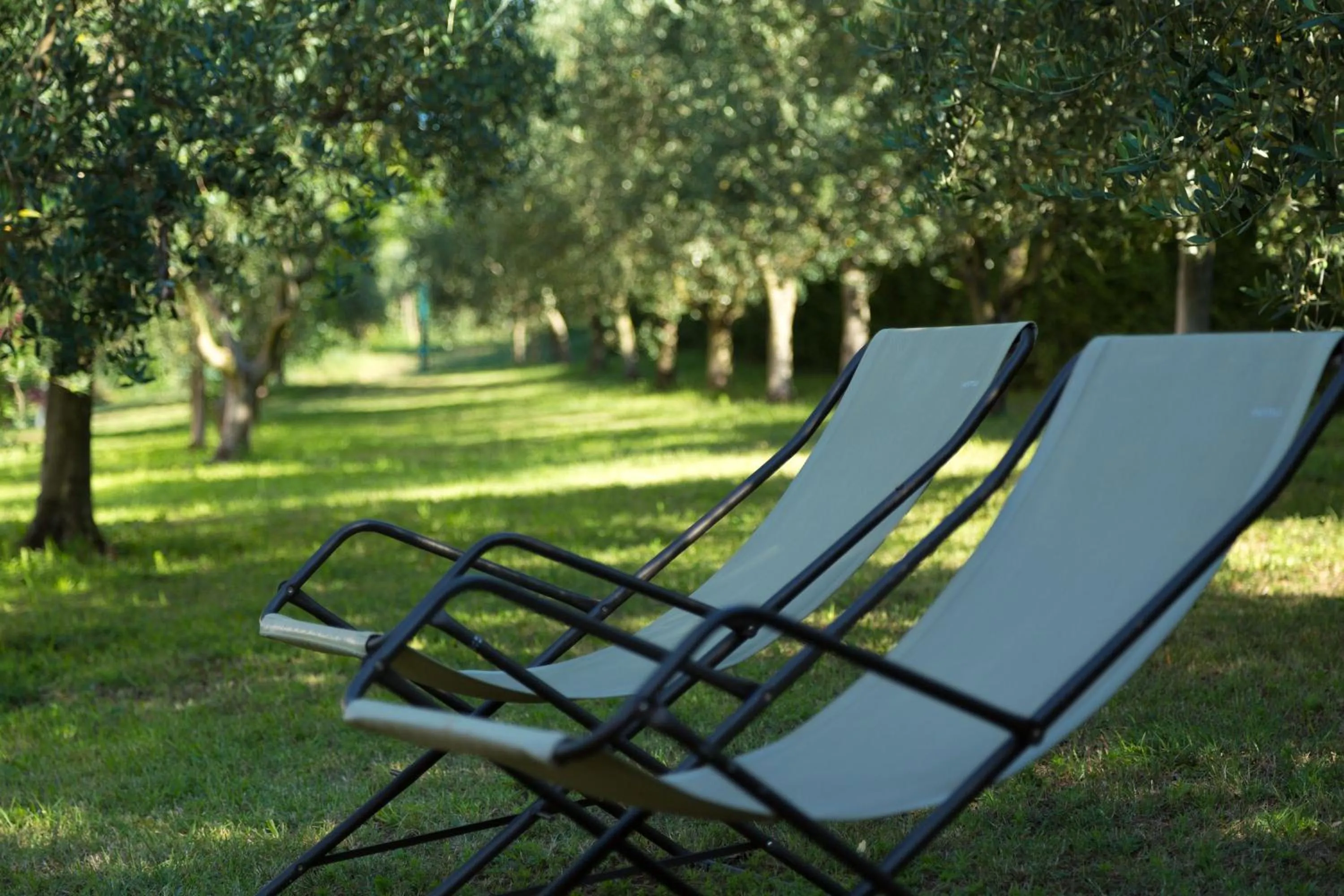 Garden in Agriturismo Casa Rosa