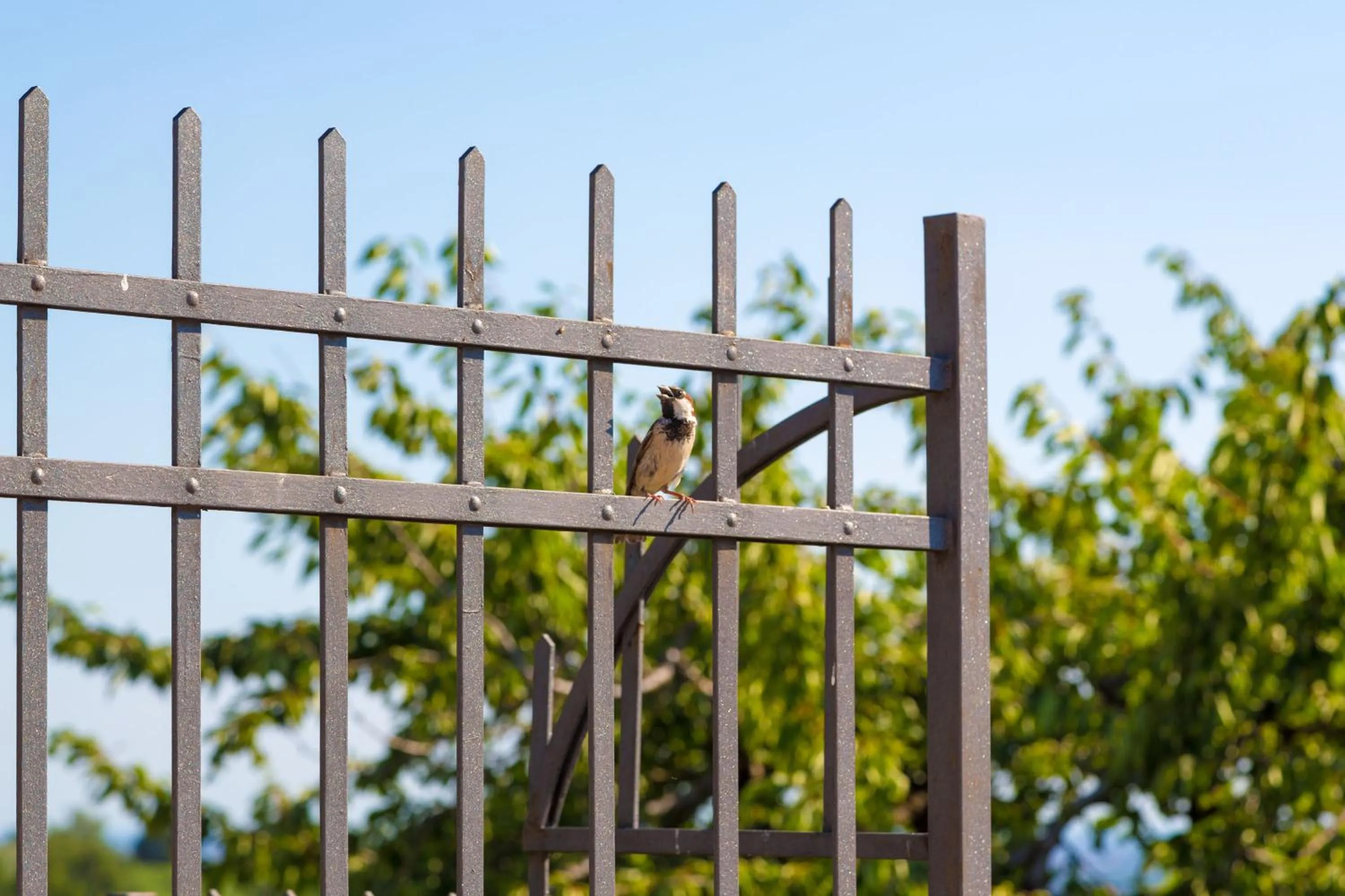 Decorative detail in Agriturismo Casa Rosa