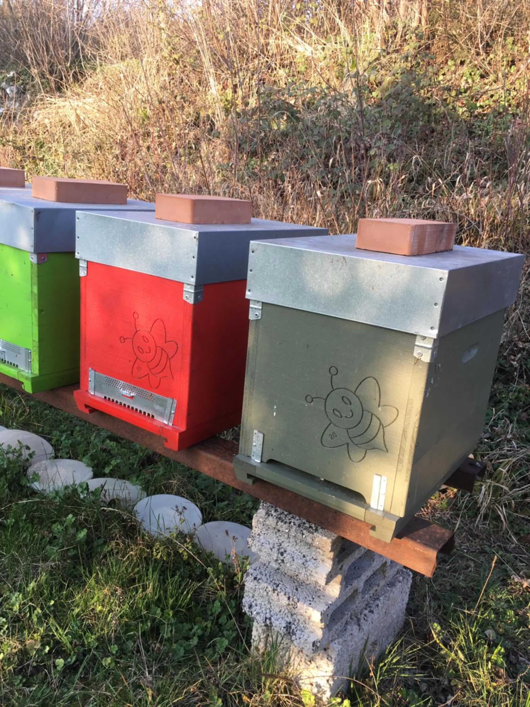 Animals in Agriturismo Casa Rosa