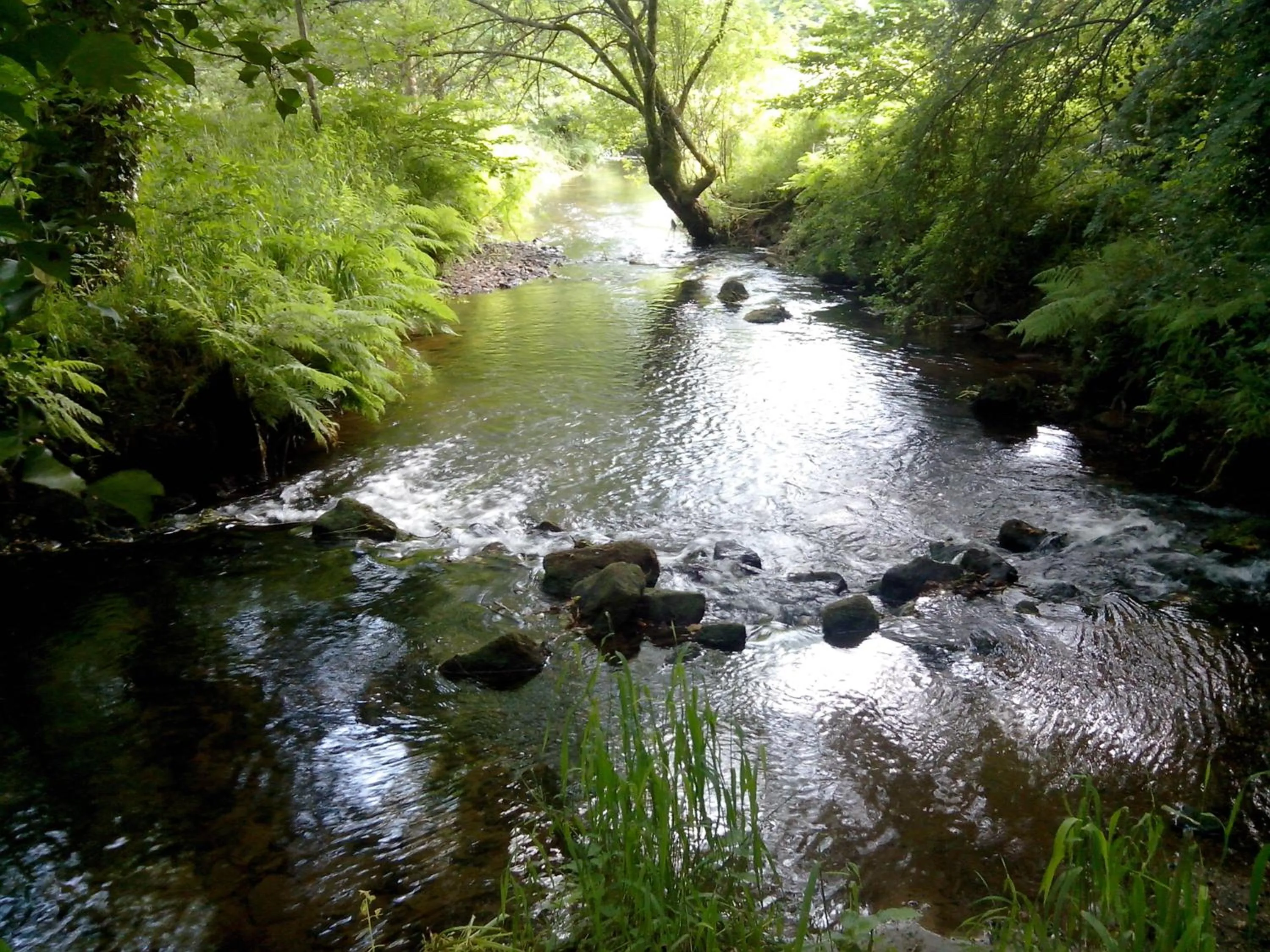 Natural landscape in Le Domaine de Kerlys