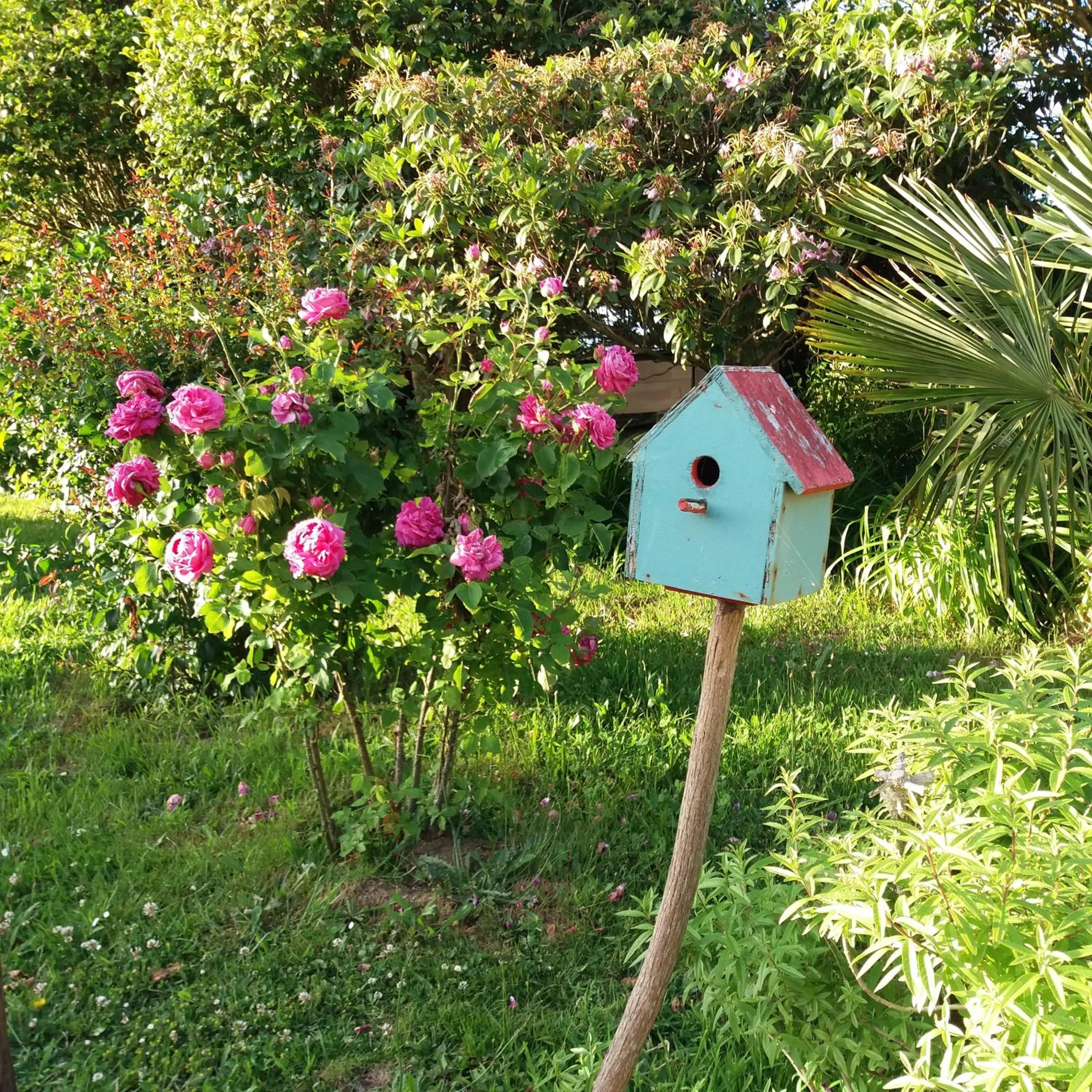 Garden in Le Domaine de Kerlys