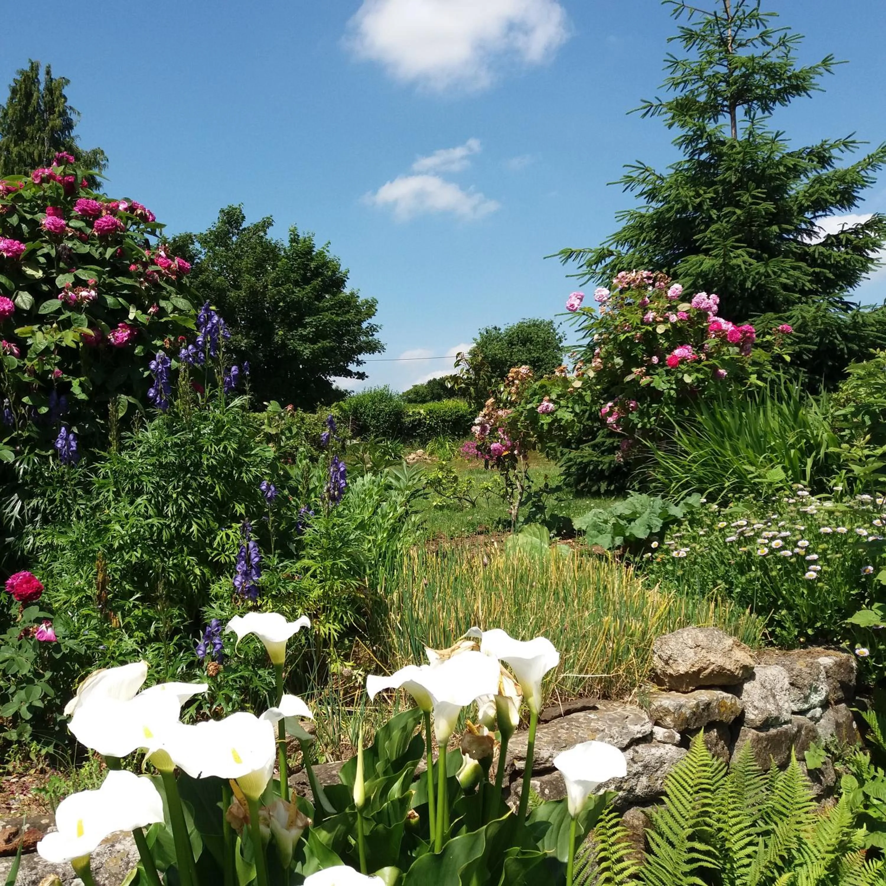 Garden in Le Domaine de Kerlys