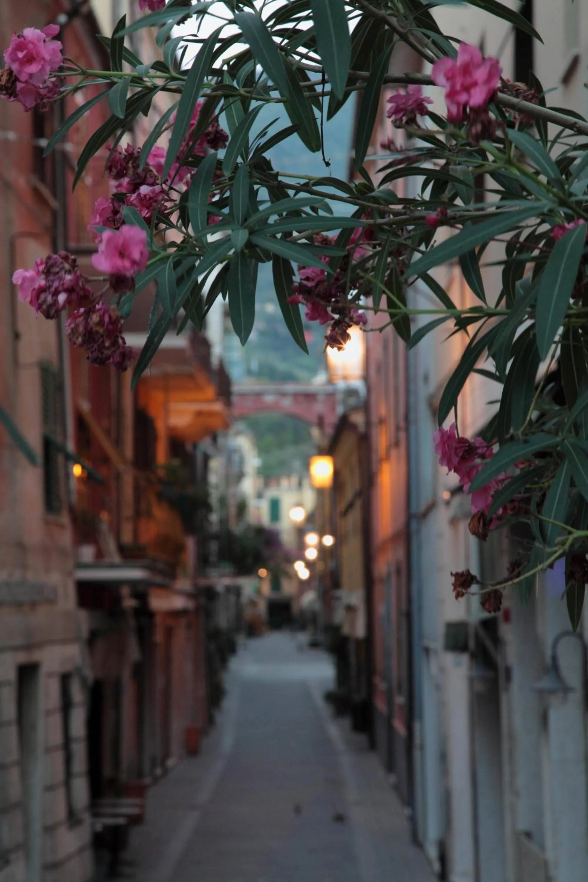 Facade/entrance in Piccolo Hotel