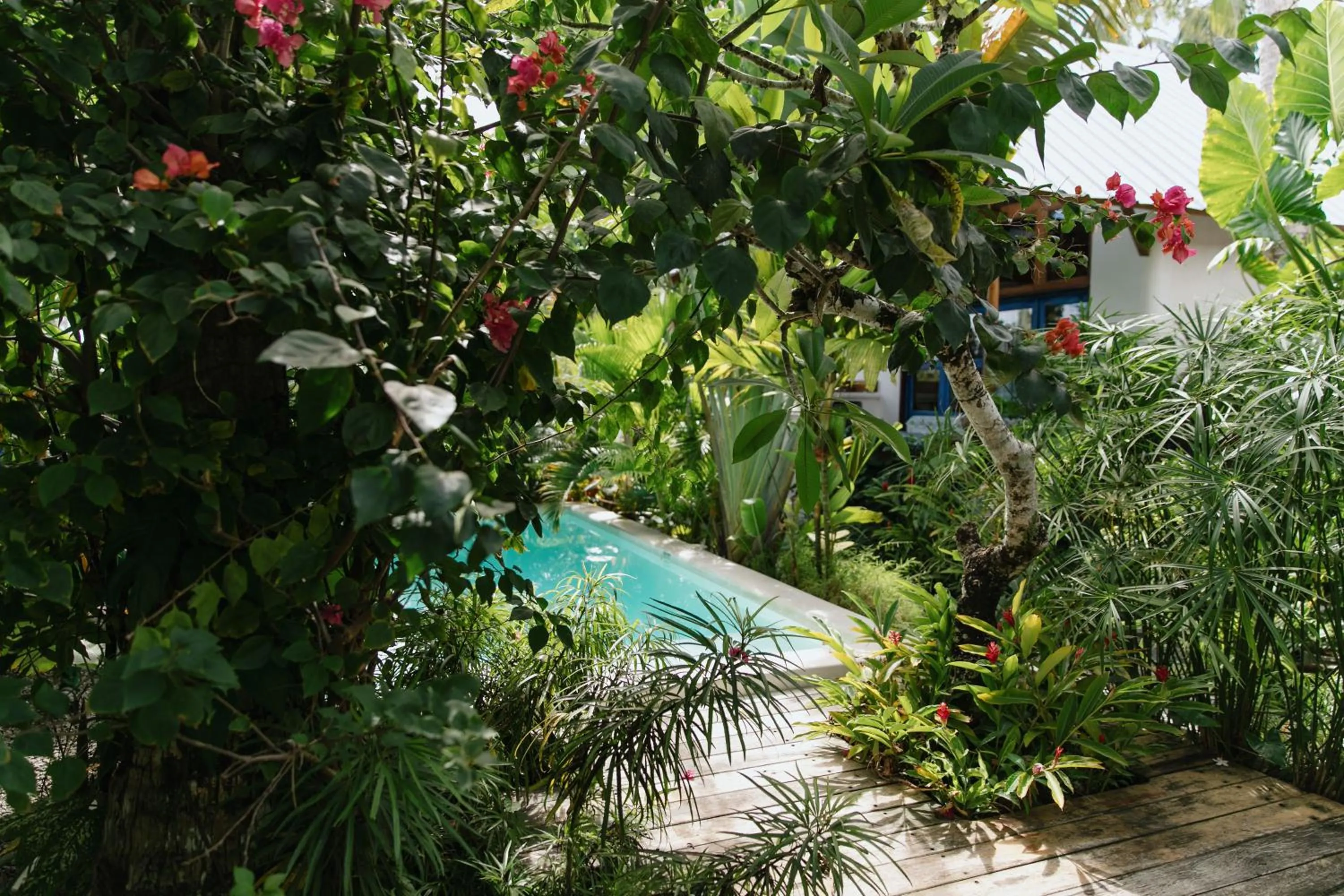 Hygge Siargao