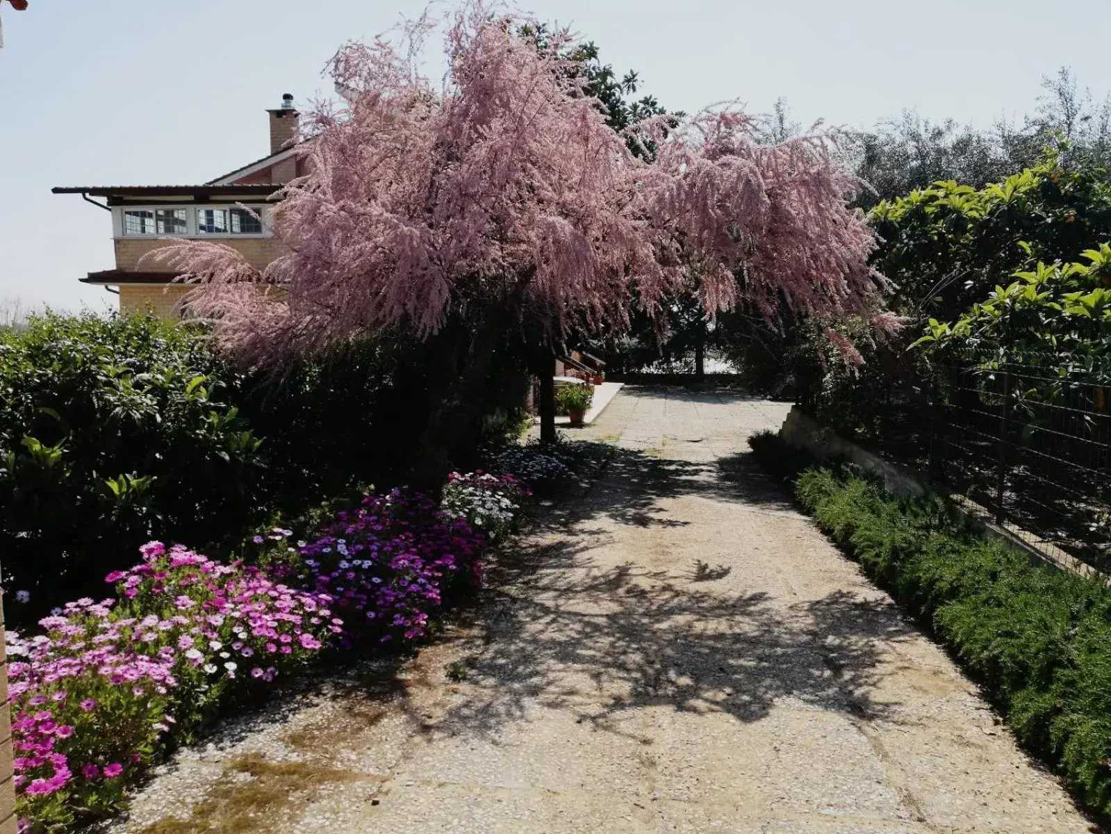 Casa Noemi Casa Noemi