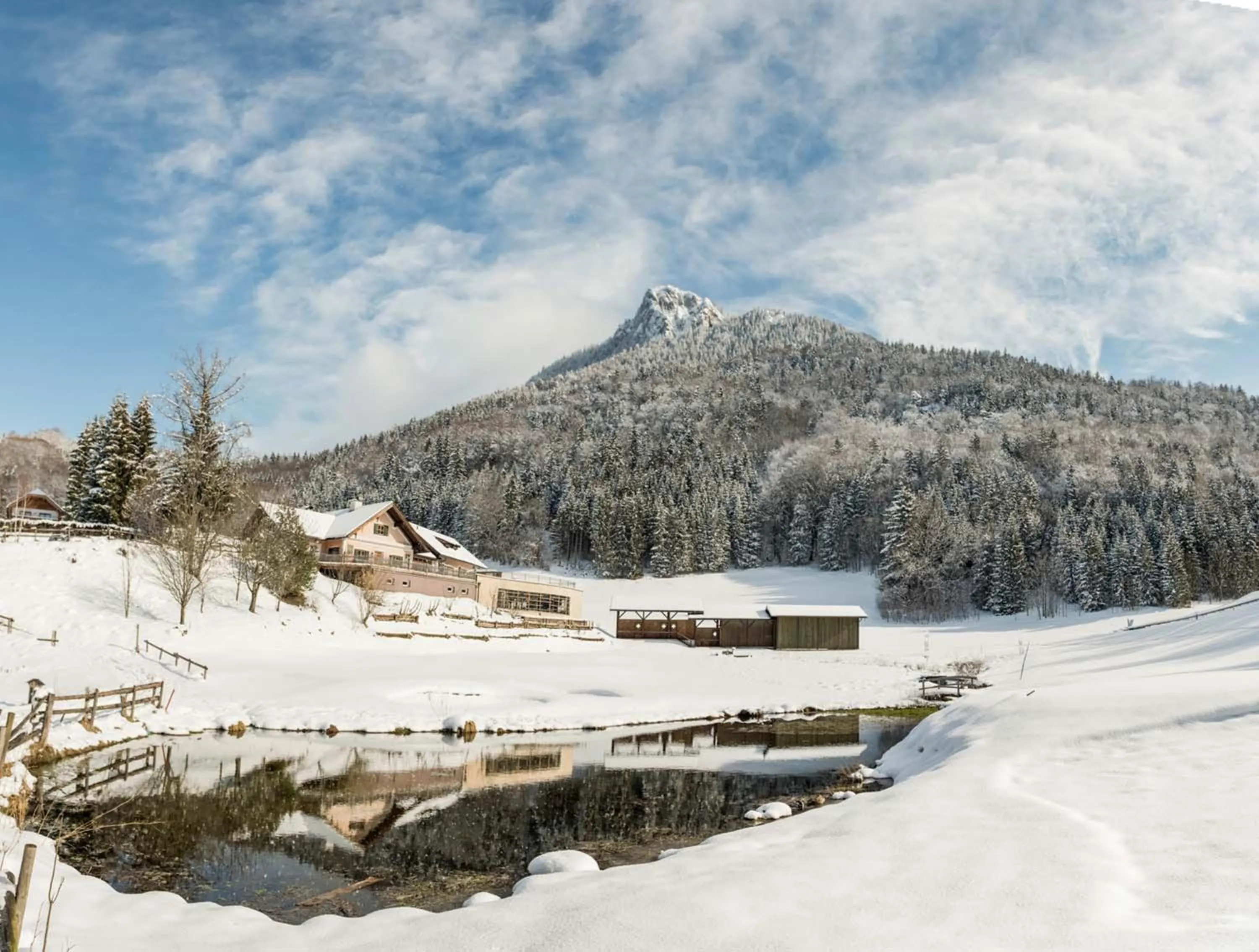 Natural landscape in Waldhof Fuschlsee Resort