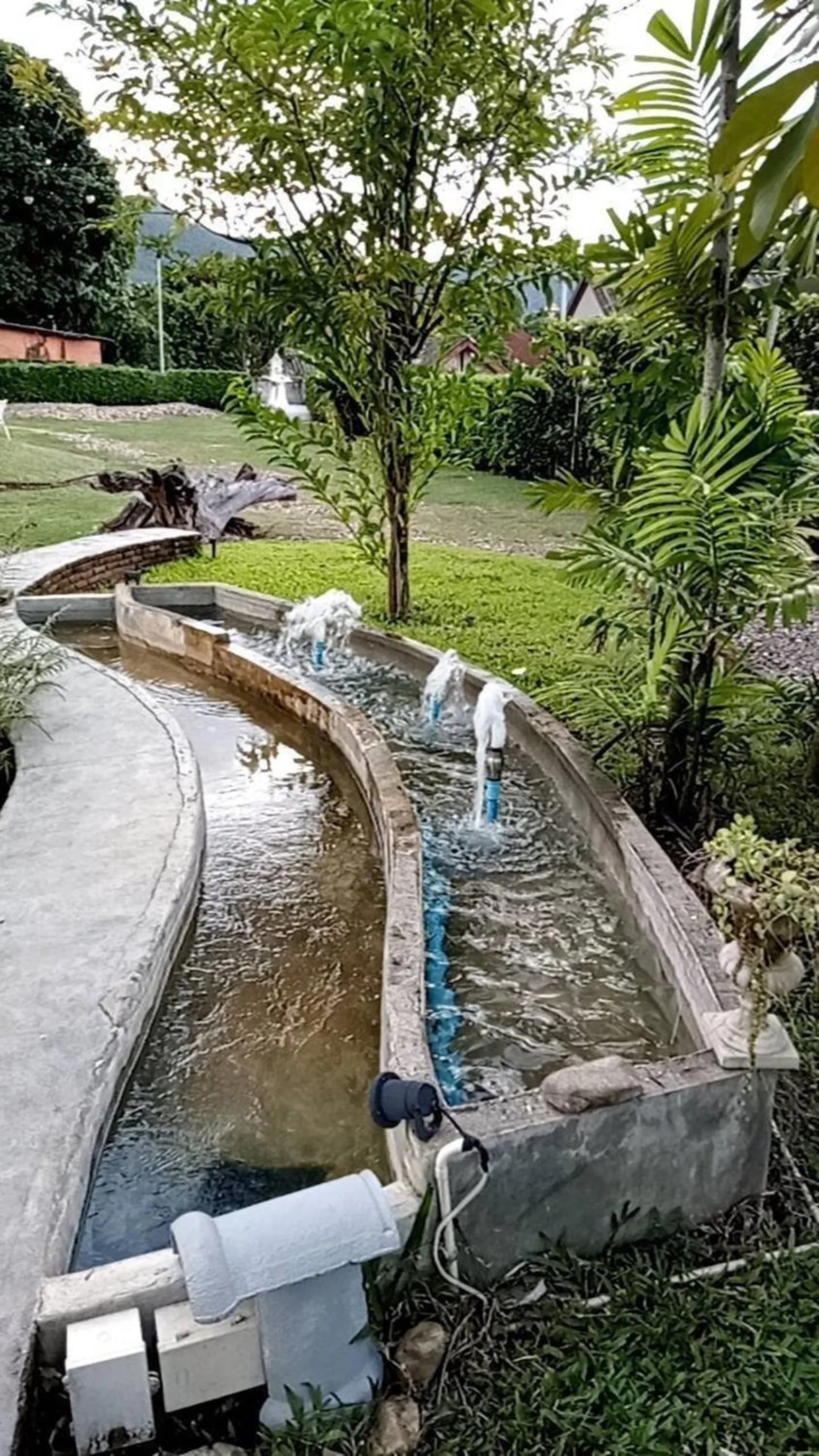 Garden in Pai My Way Hostel