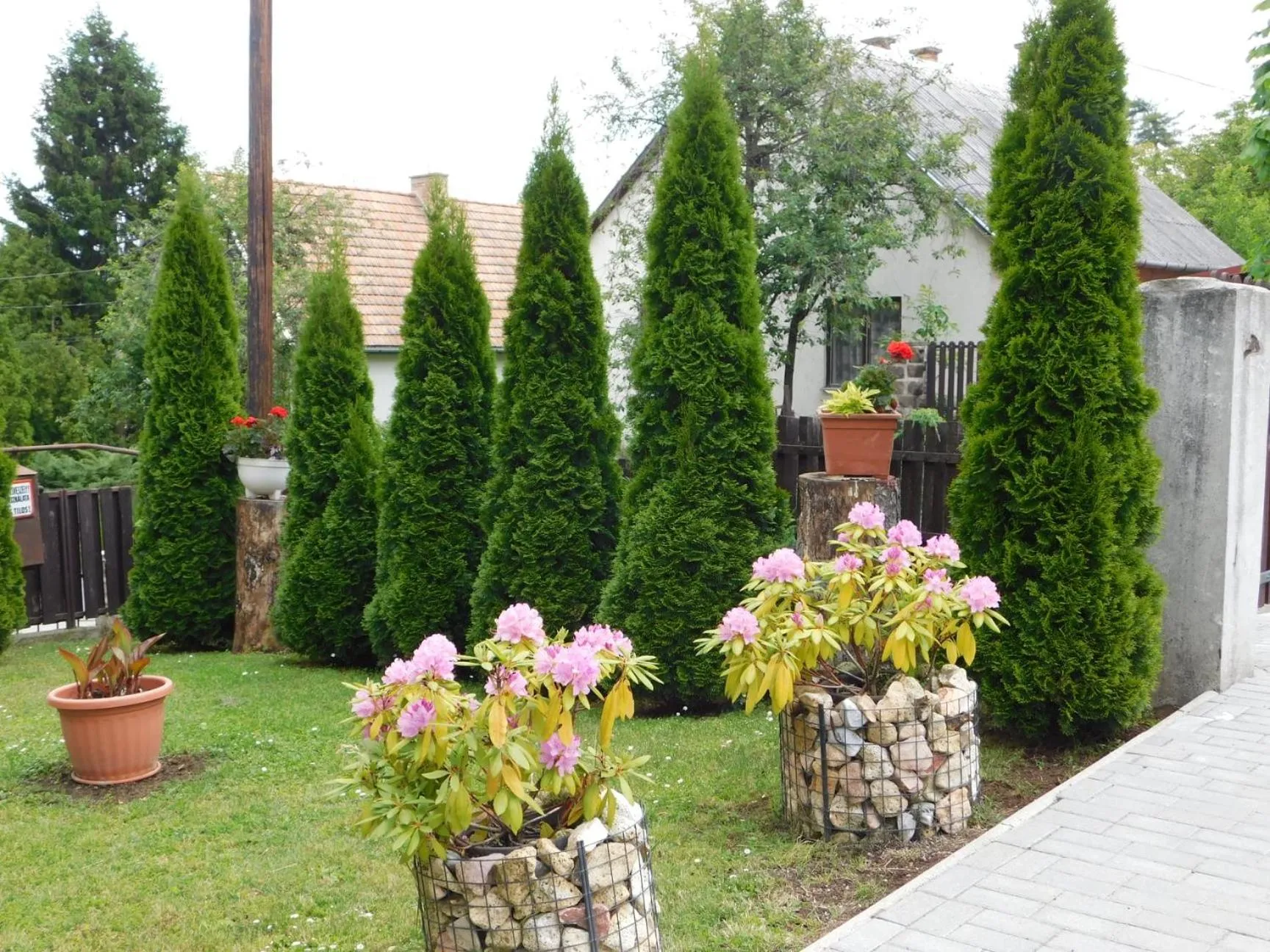Garden view in Fenyő Vendégház