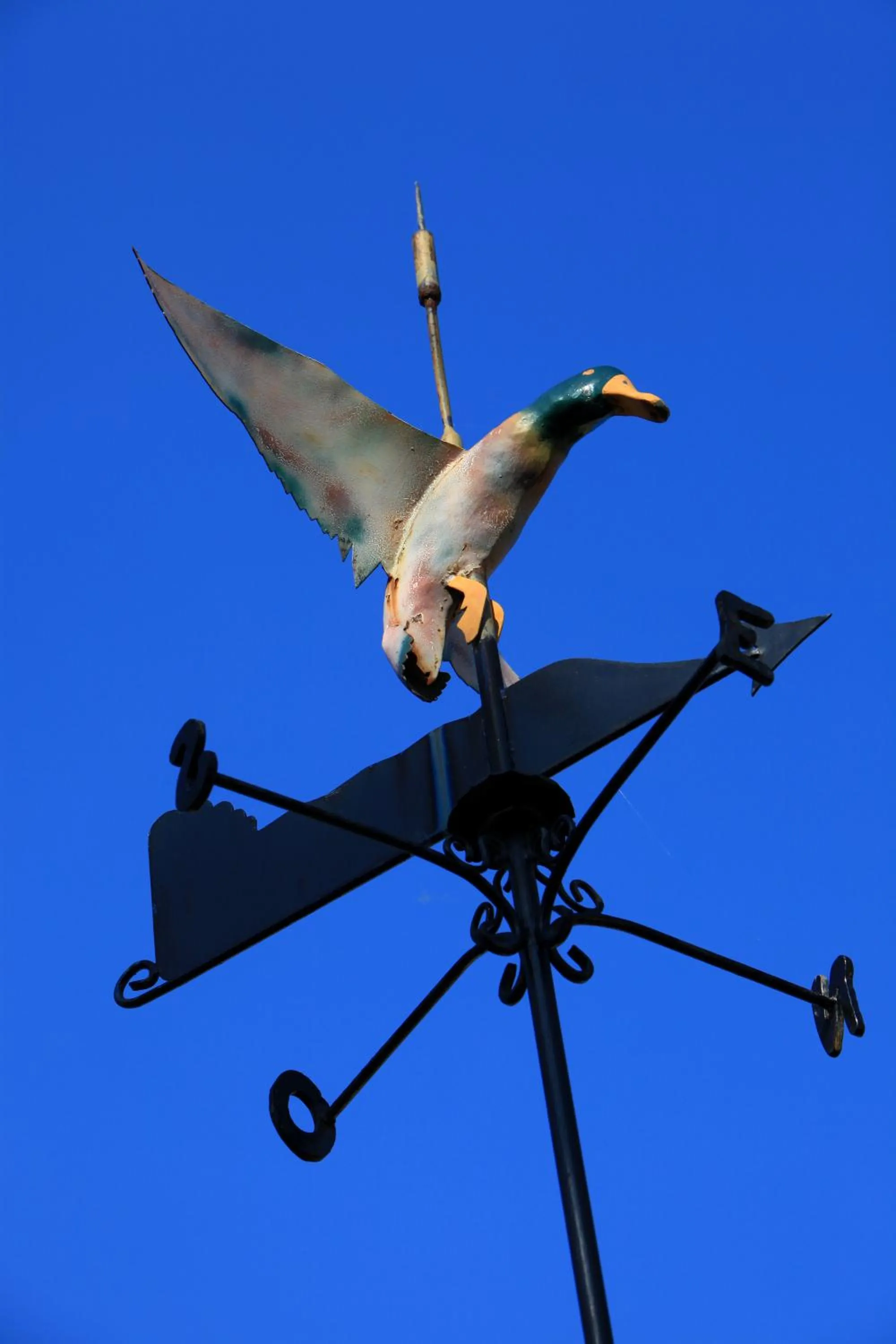 Property logo or sign in La Regalido