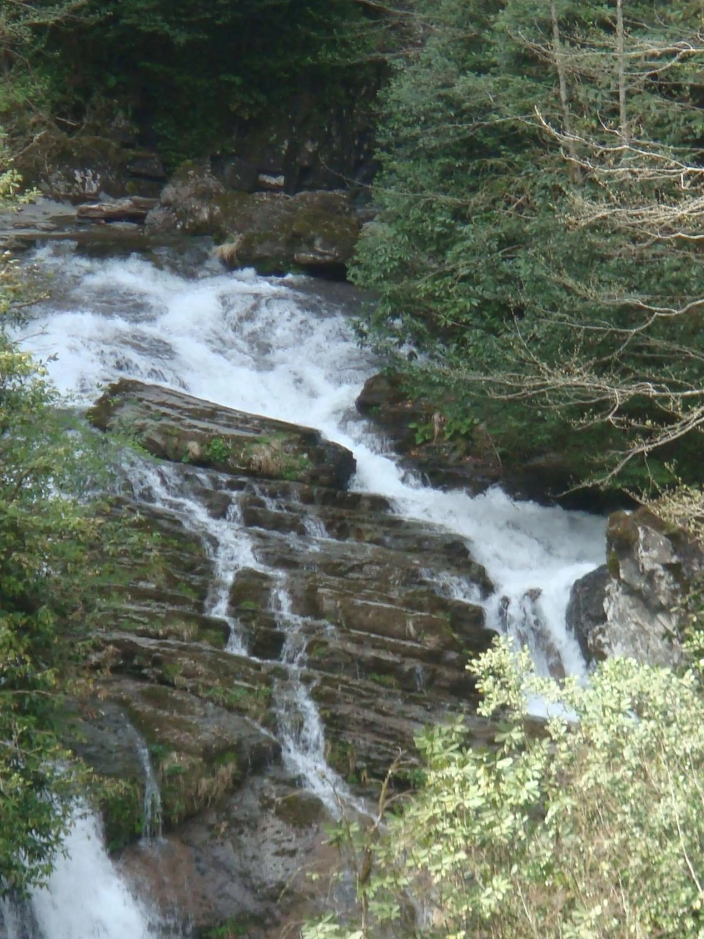 River view in Mencuna Konaklari