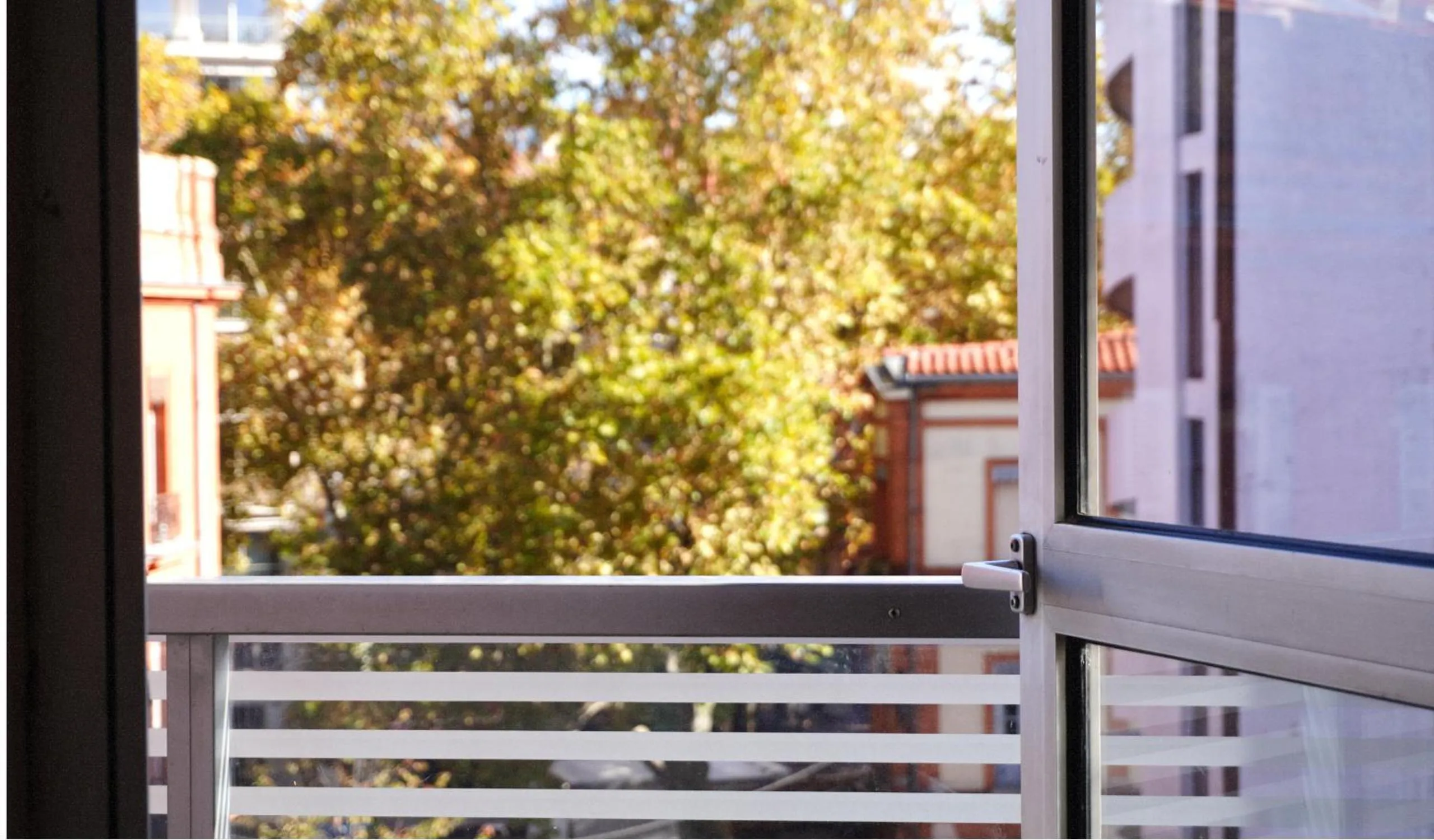 Day in Hotel Ours Blanc - Victor Hugo