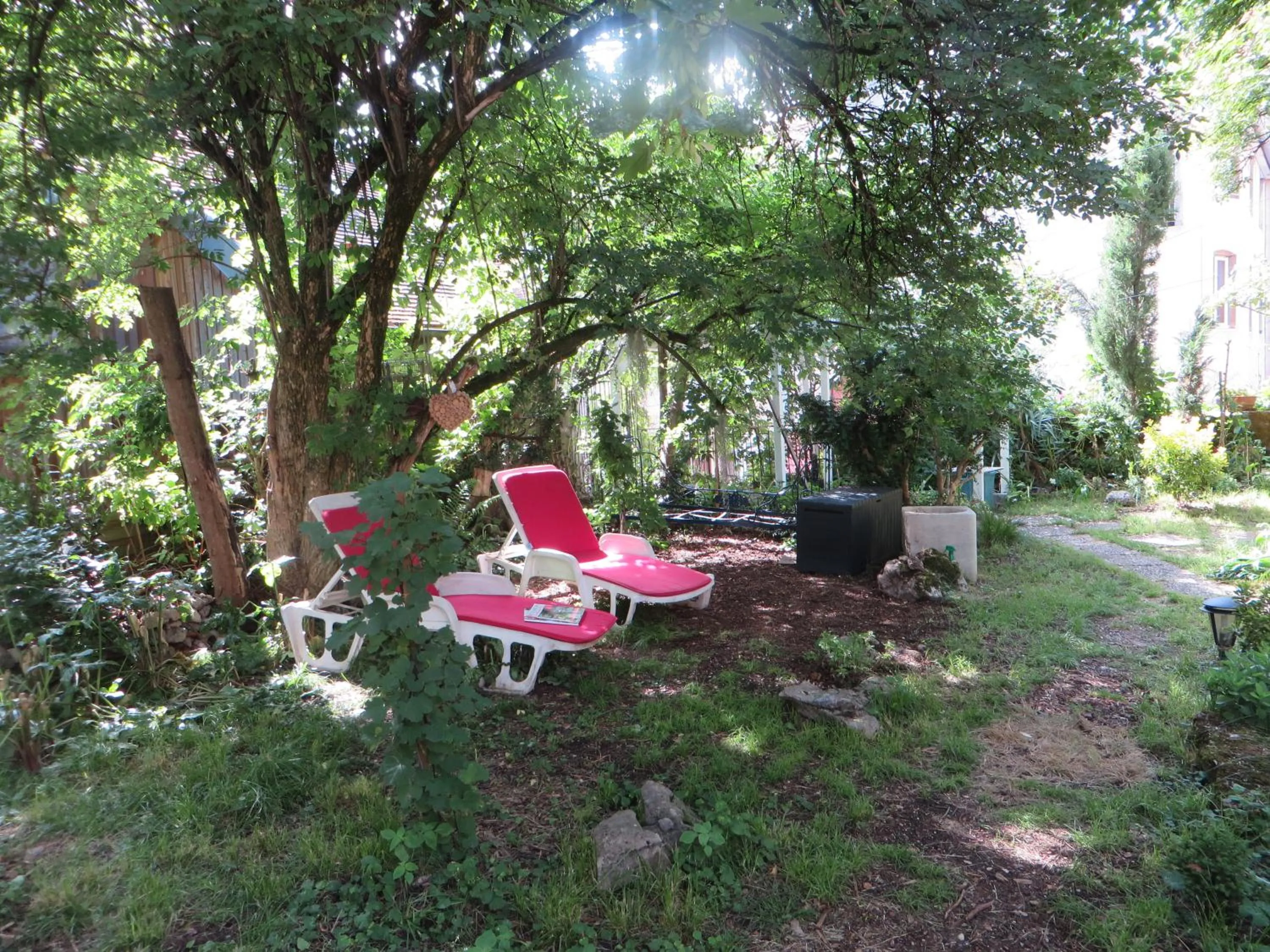 Garden in Hotel Régina