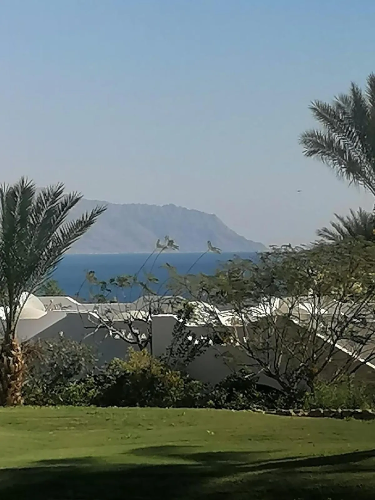 One-Bedroom Apartment at Domina Coral Bay