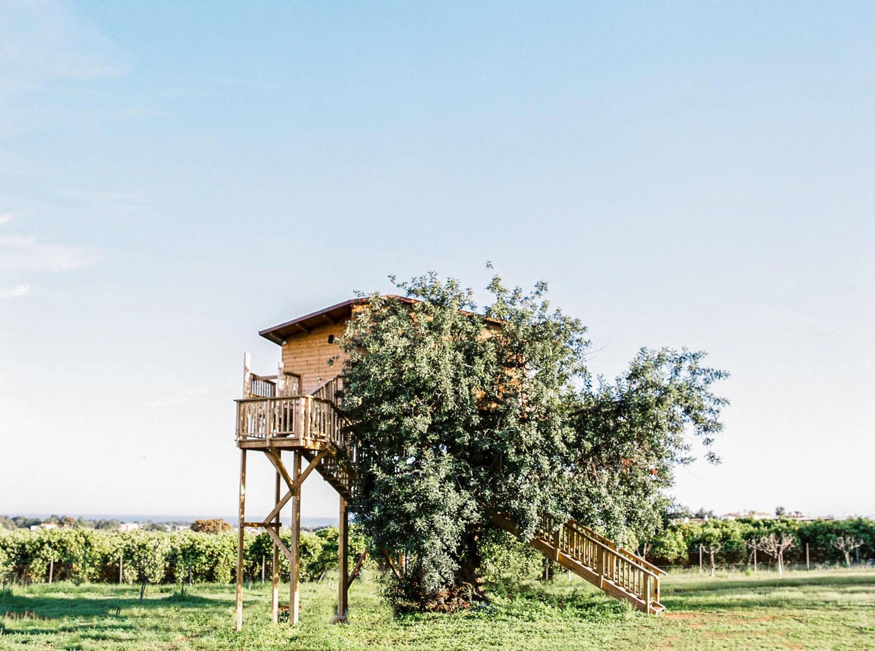 Garden in Conversas de Alpendre